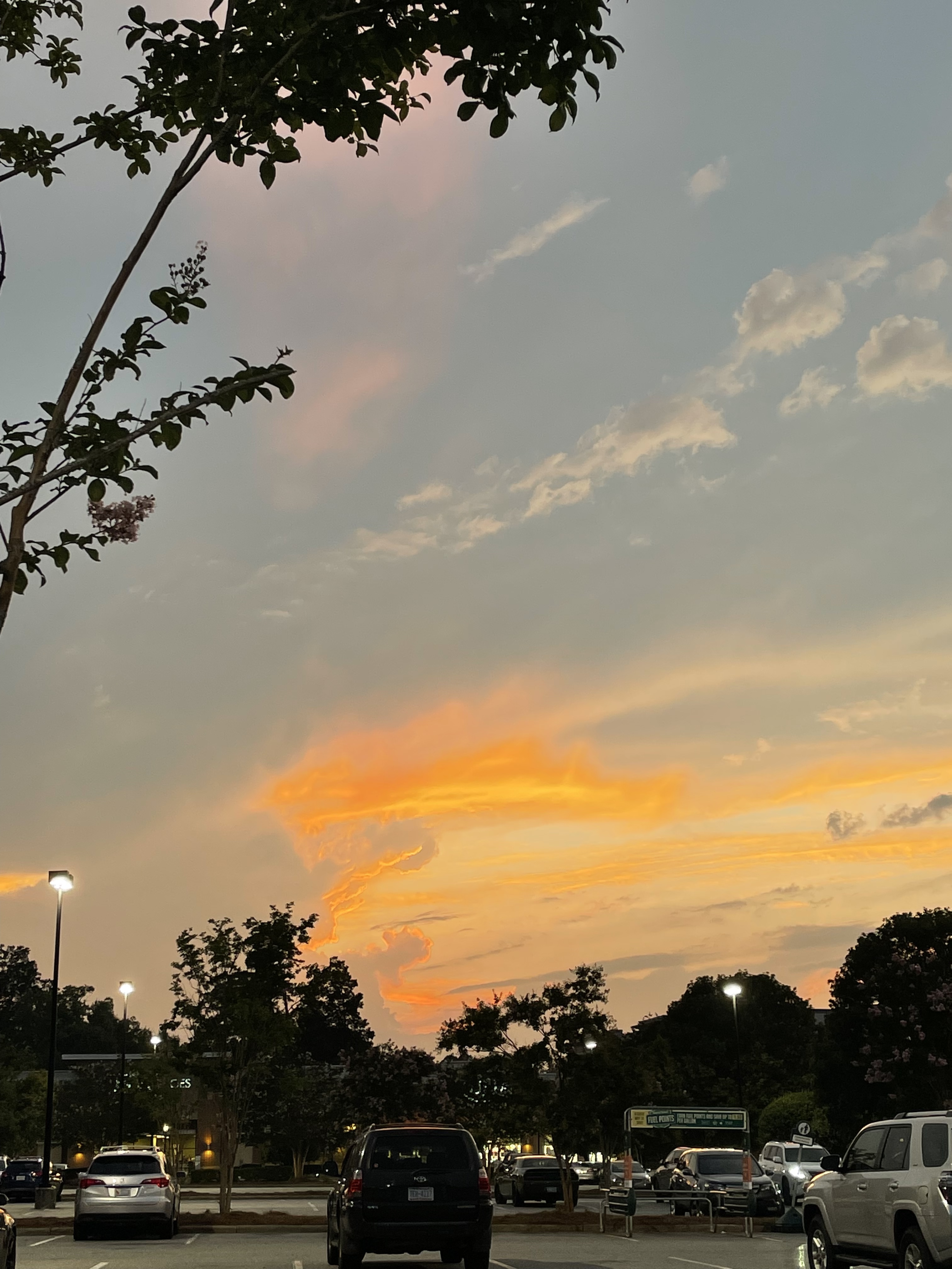 Avocado OnlyFans header