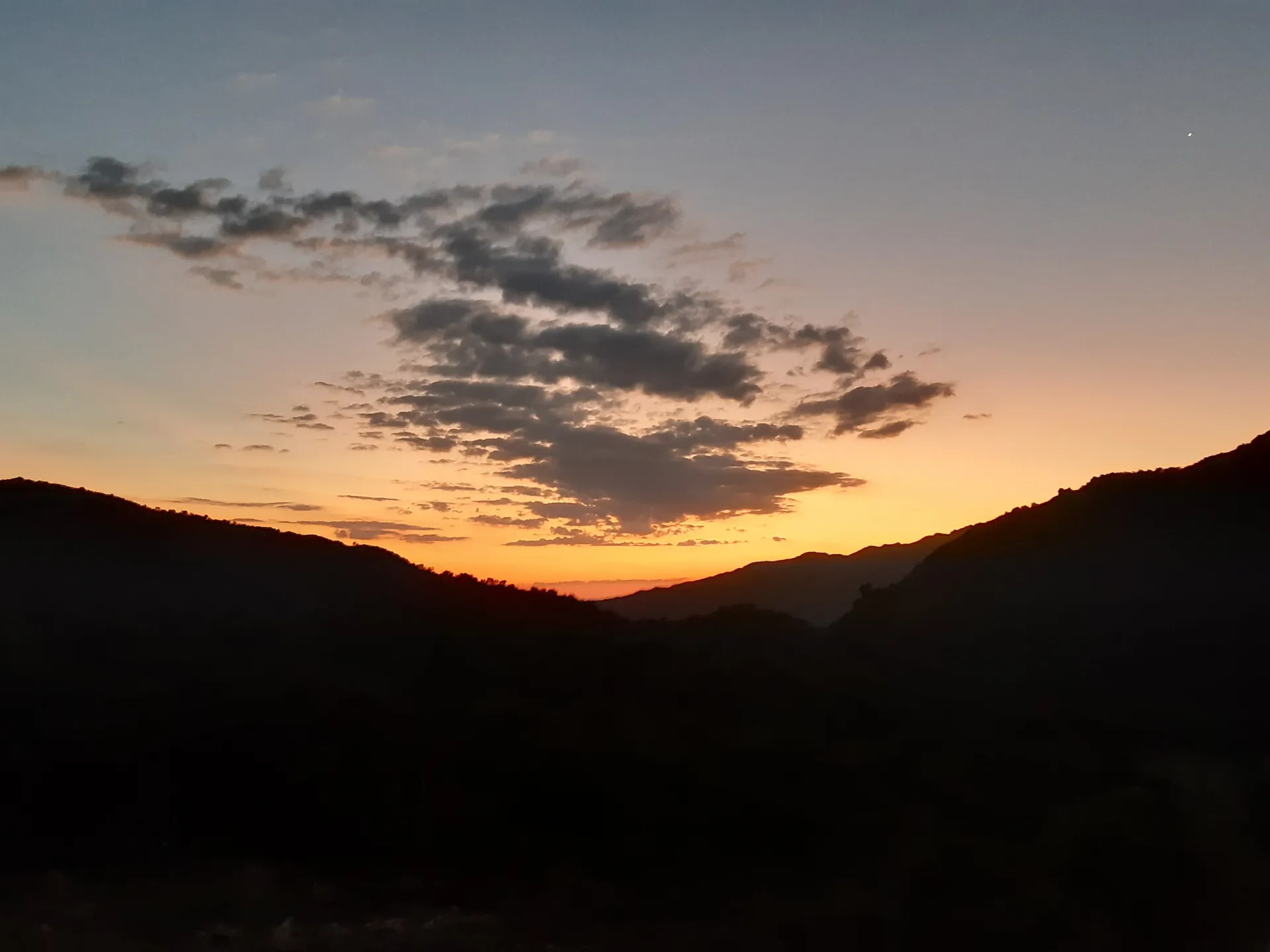 Avril OnlyFans header