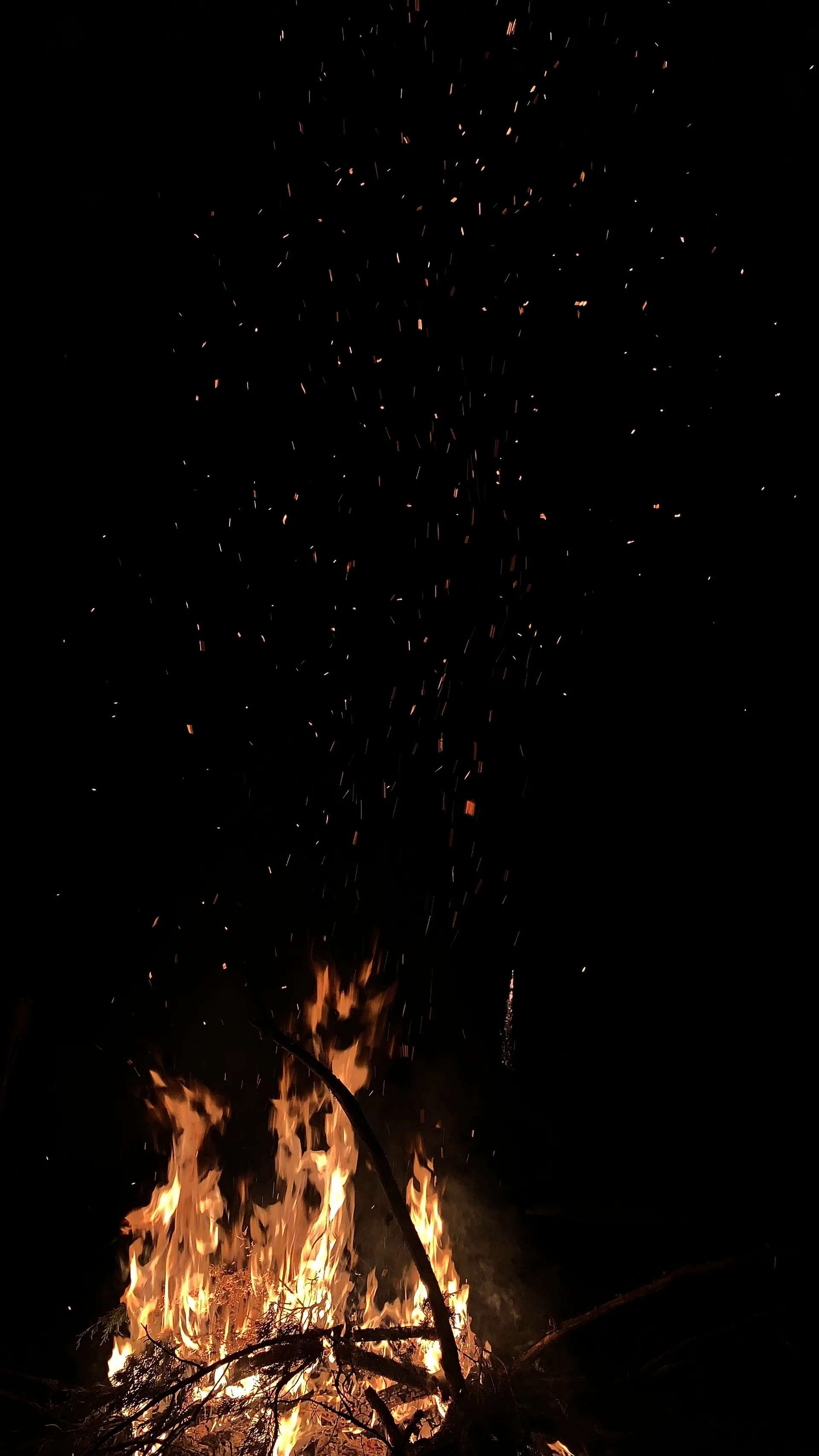 Anna OnlyFans header