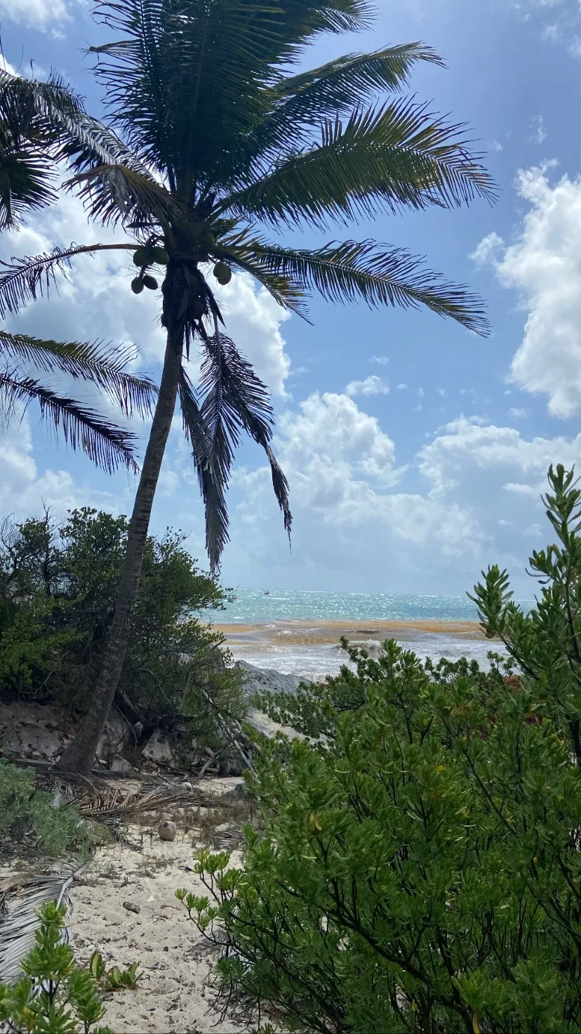 Avy P. OnlyFans header