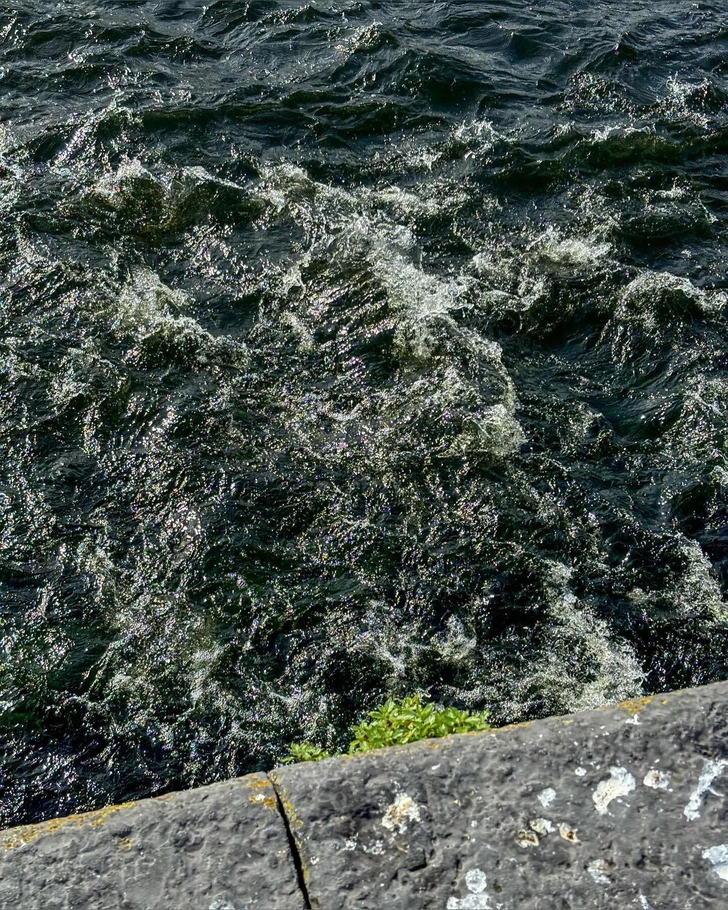 Ms. Oksu OnlyFans header