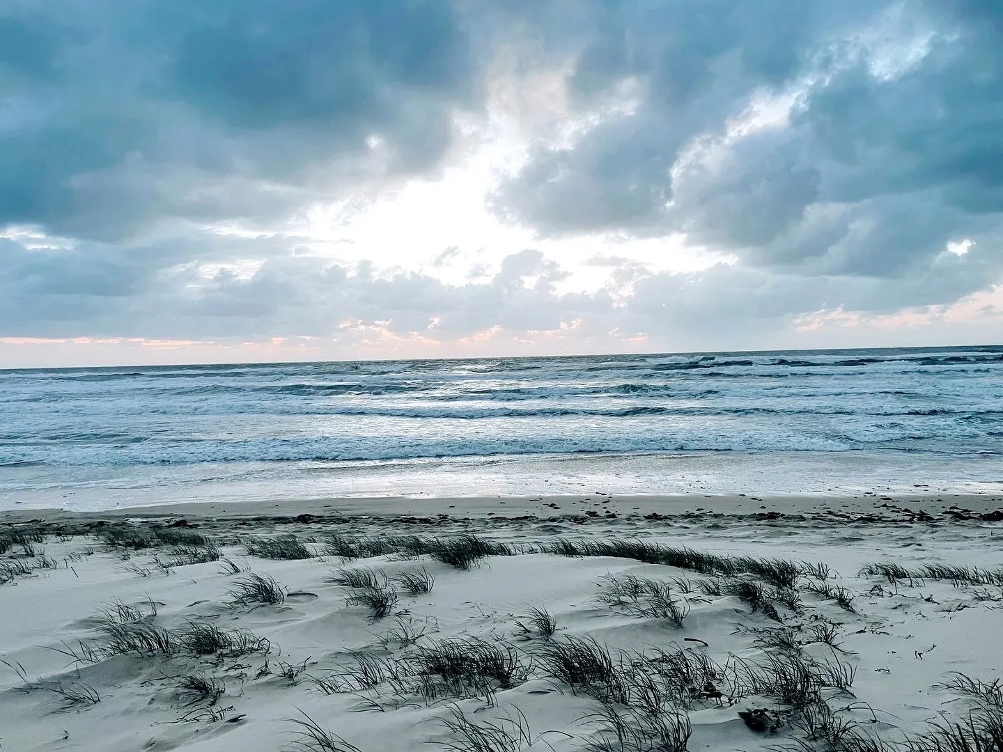 Ally Watto OnlyFans header