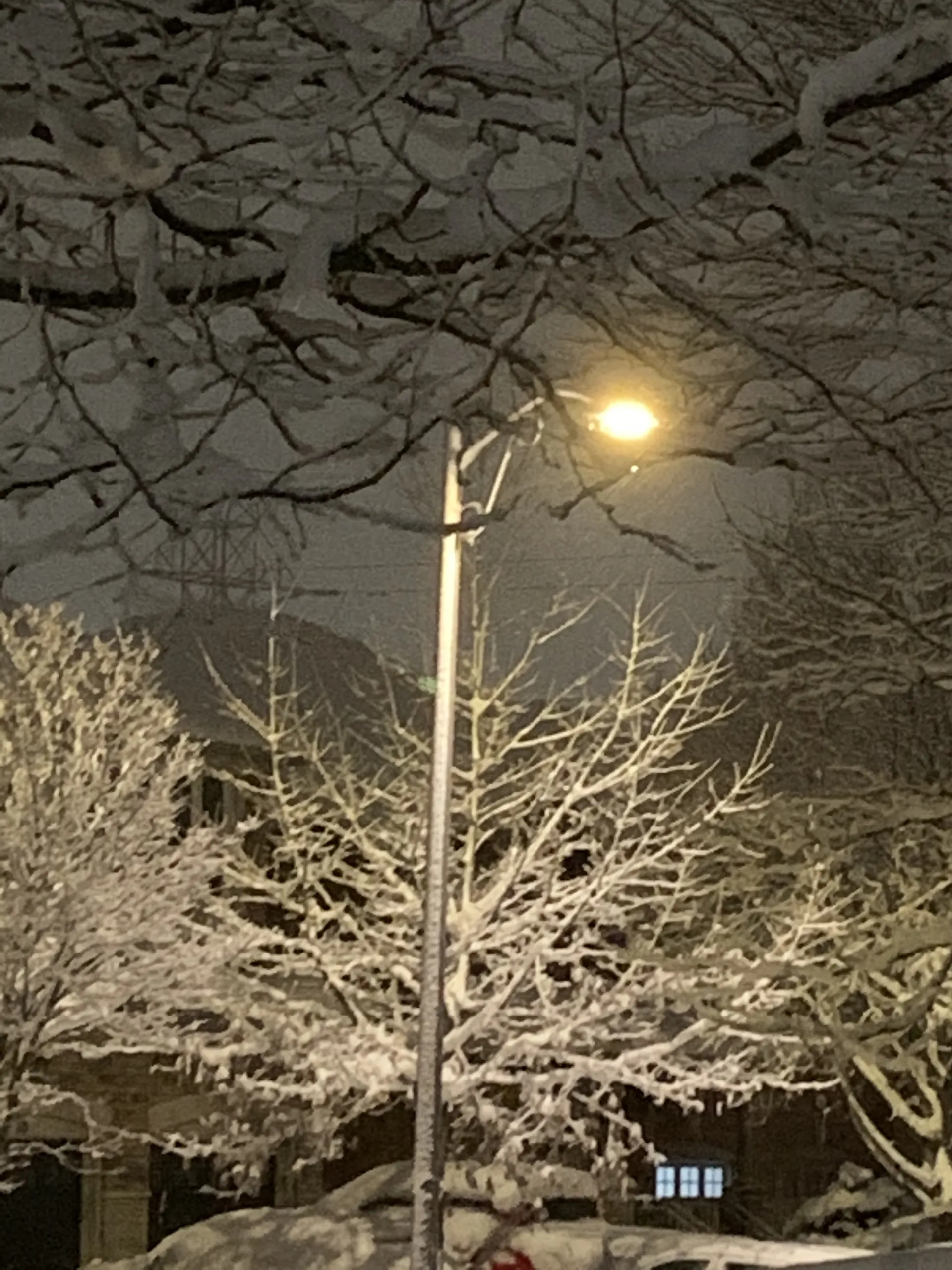 Andrea OnlyFans header