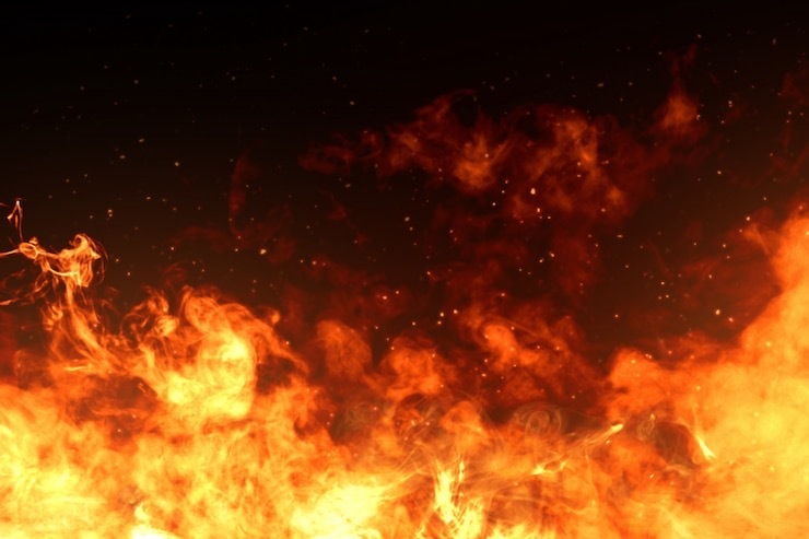 Anna Wild Berry OnlyFans header