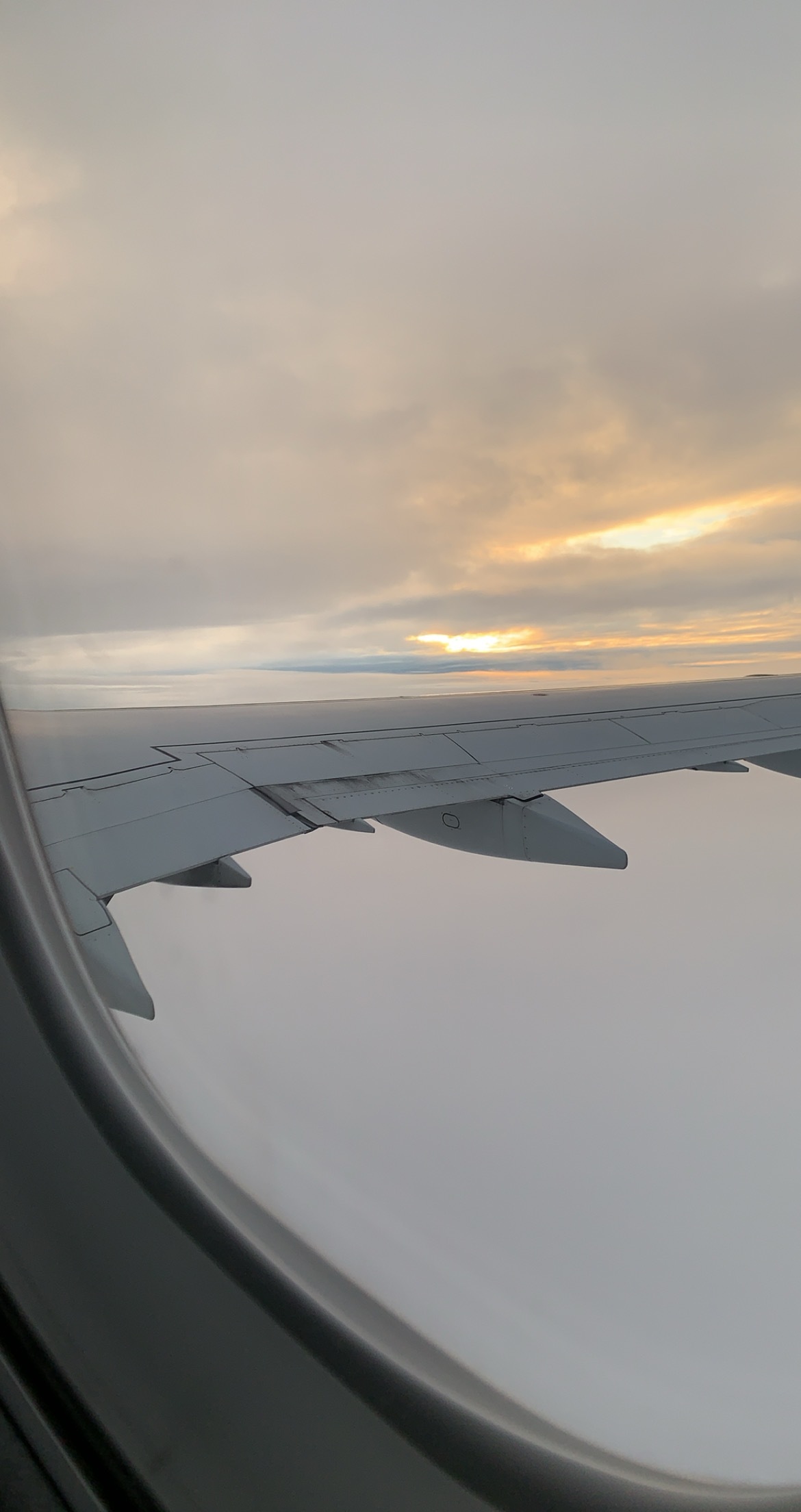 Athena OnlyFans header