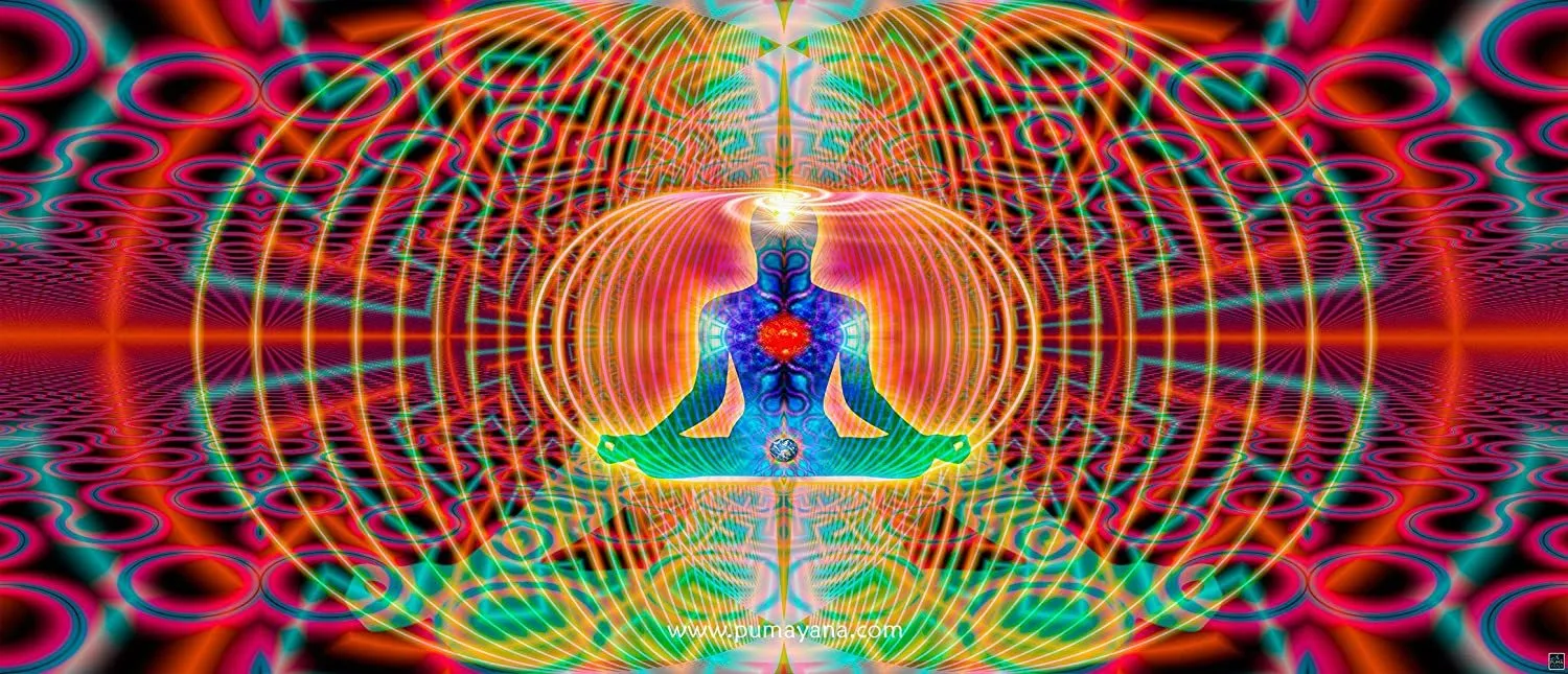 Awkwafina2025 OnlyFans header