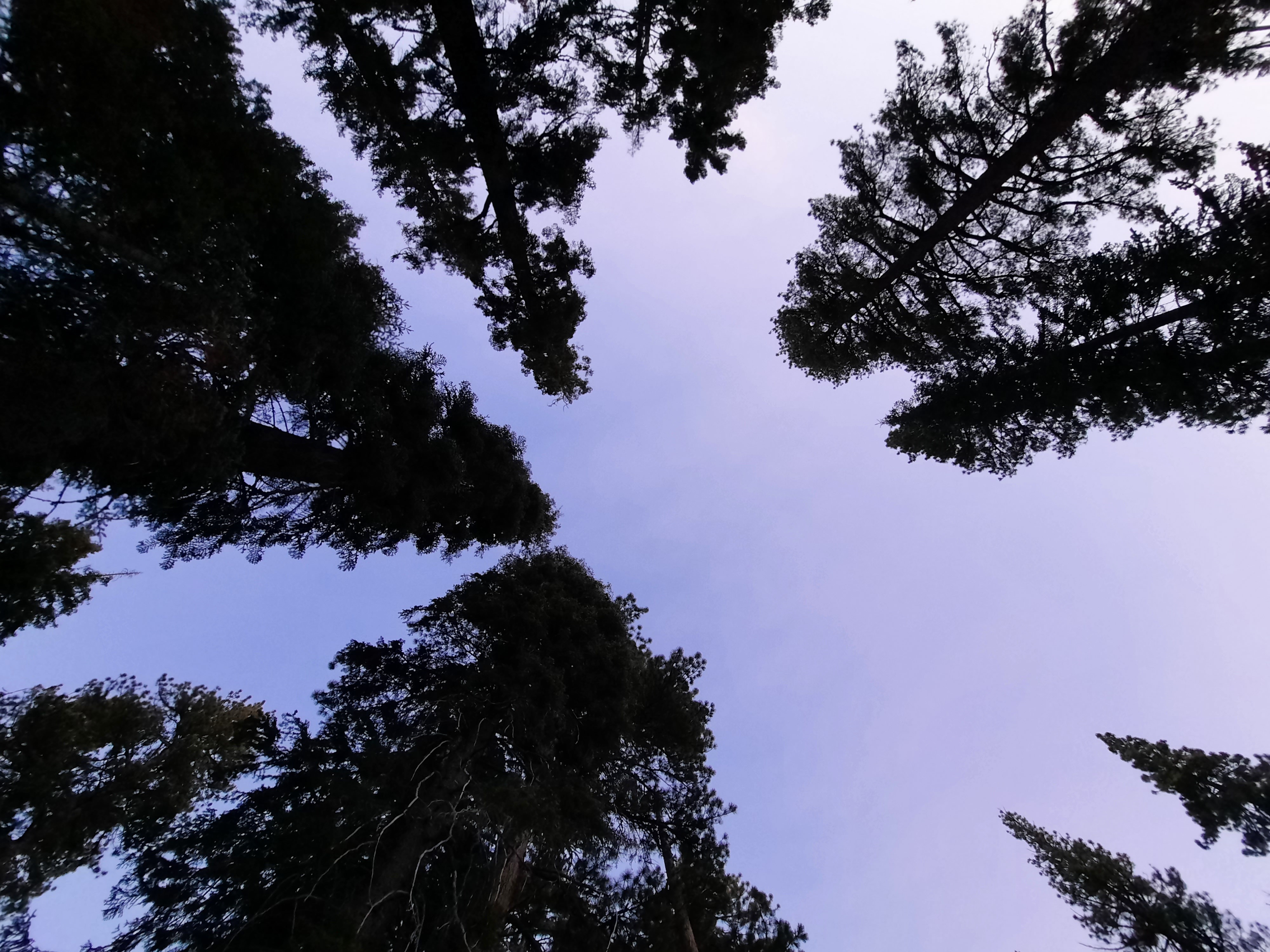 Devin OnlyFans header