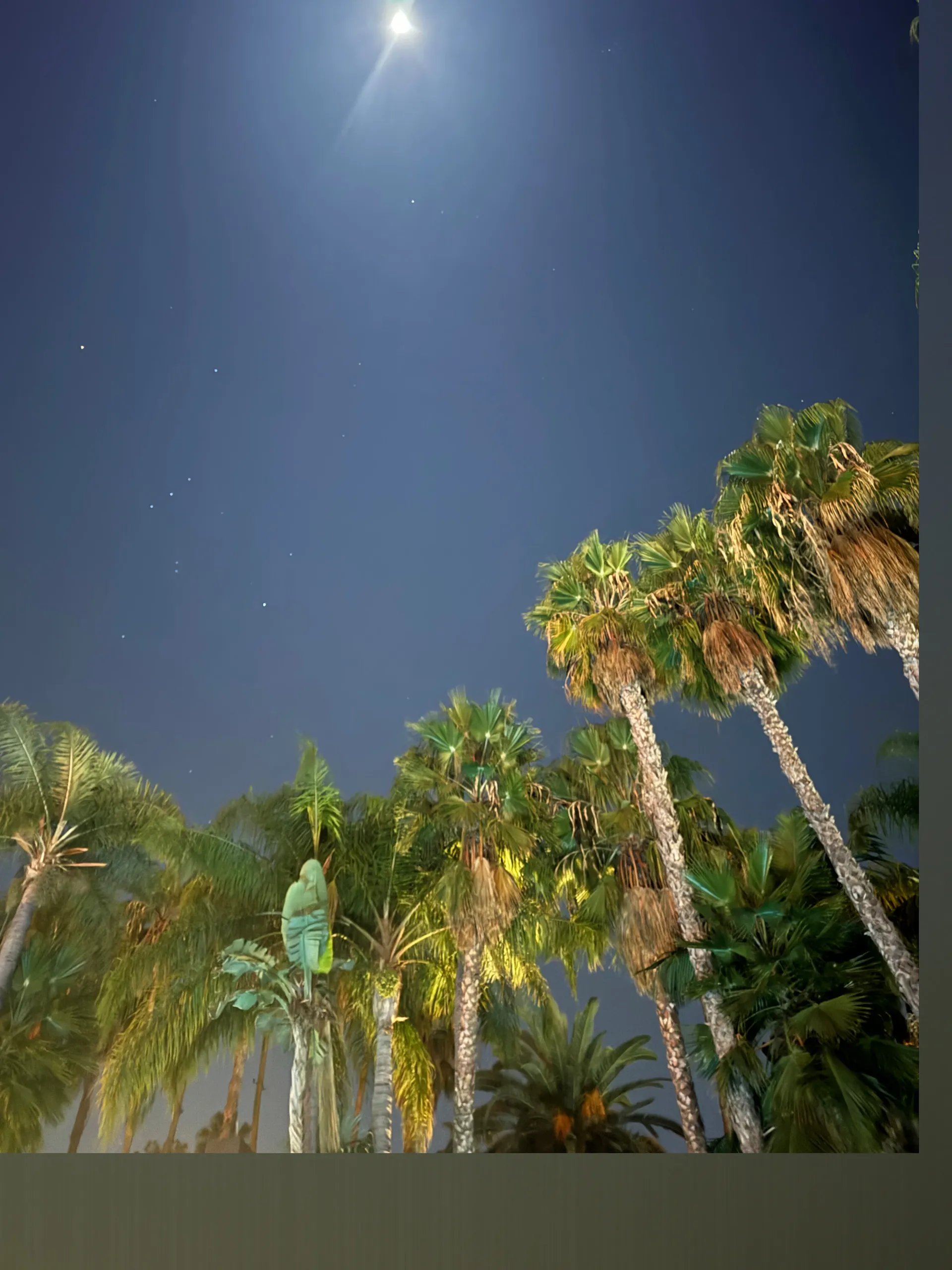 Awokenbaddie OnlyFans header