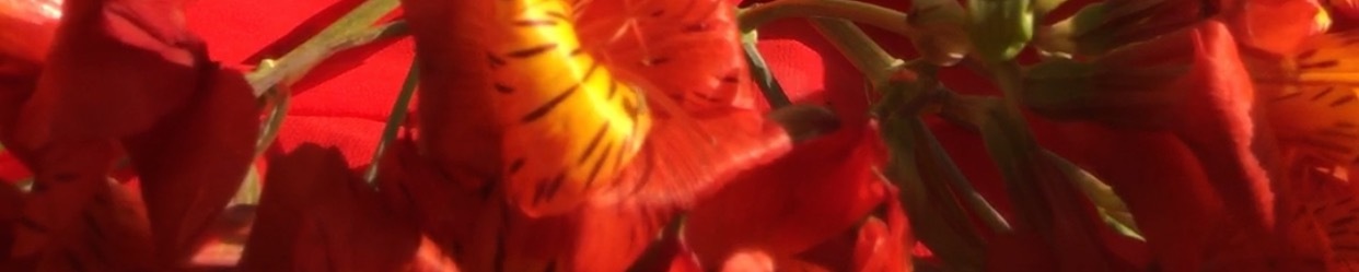 aworkofartinprogressFREE OnlyFans header