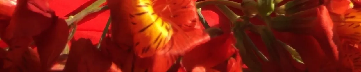 aworkofartinprogressFREE OnlyFans header