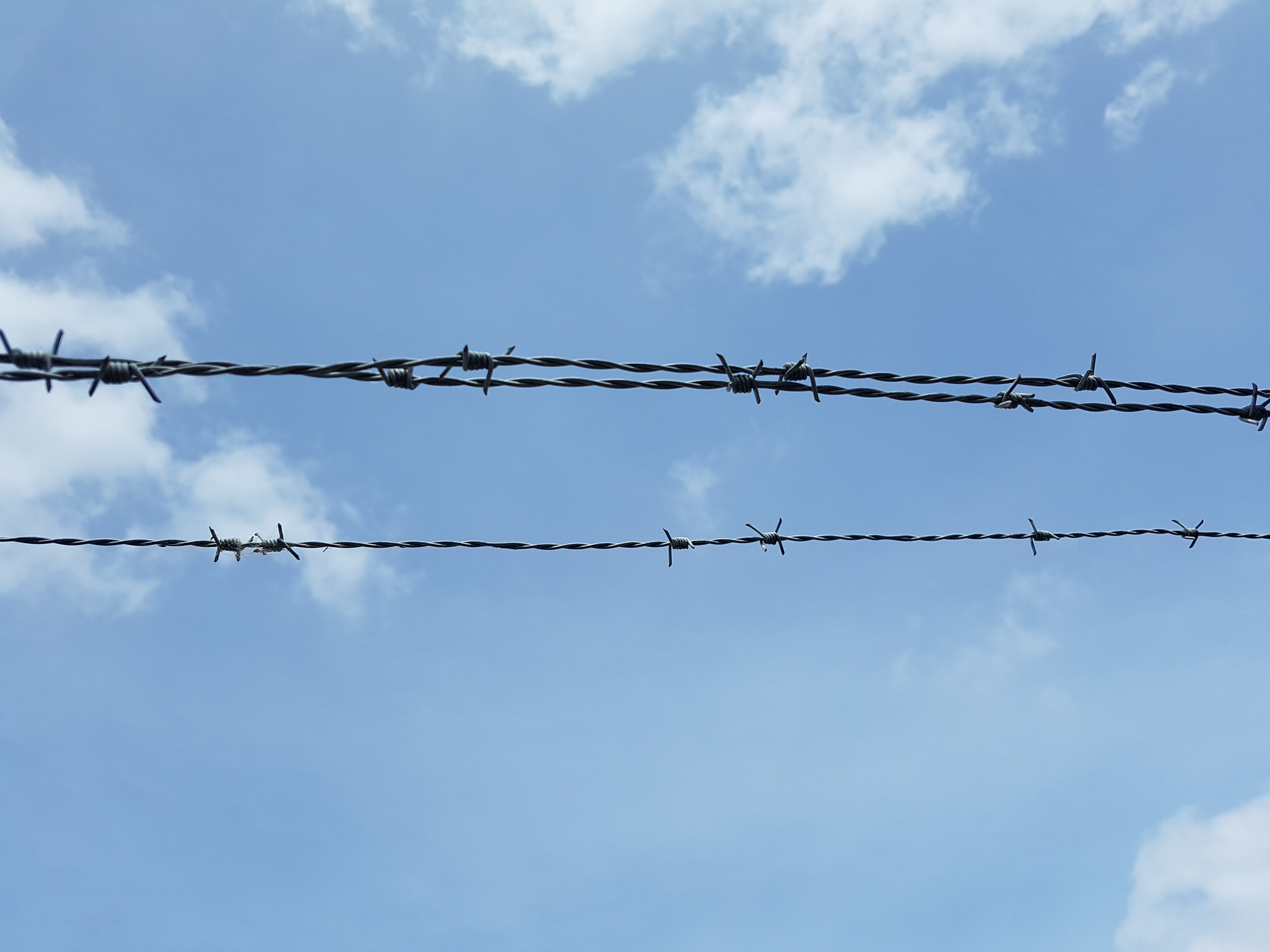 cheex OnlyFans header