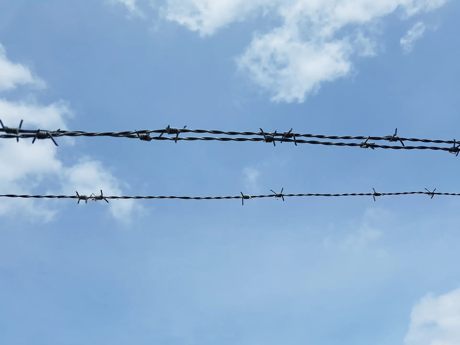 cheex OnlyFans header