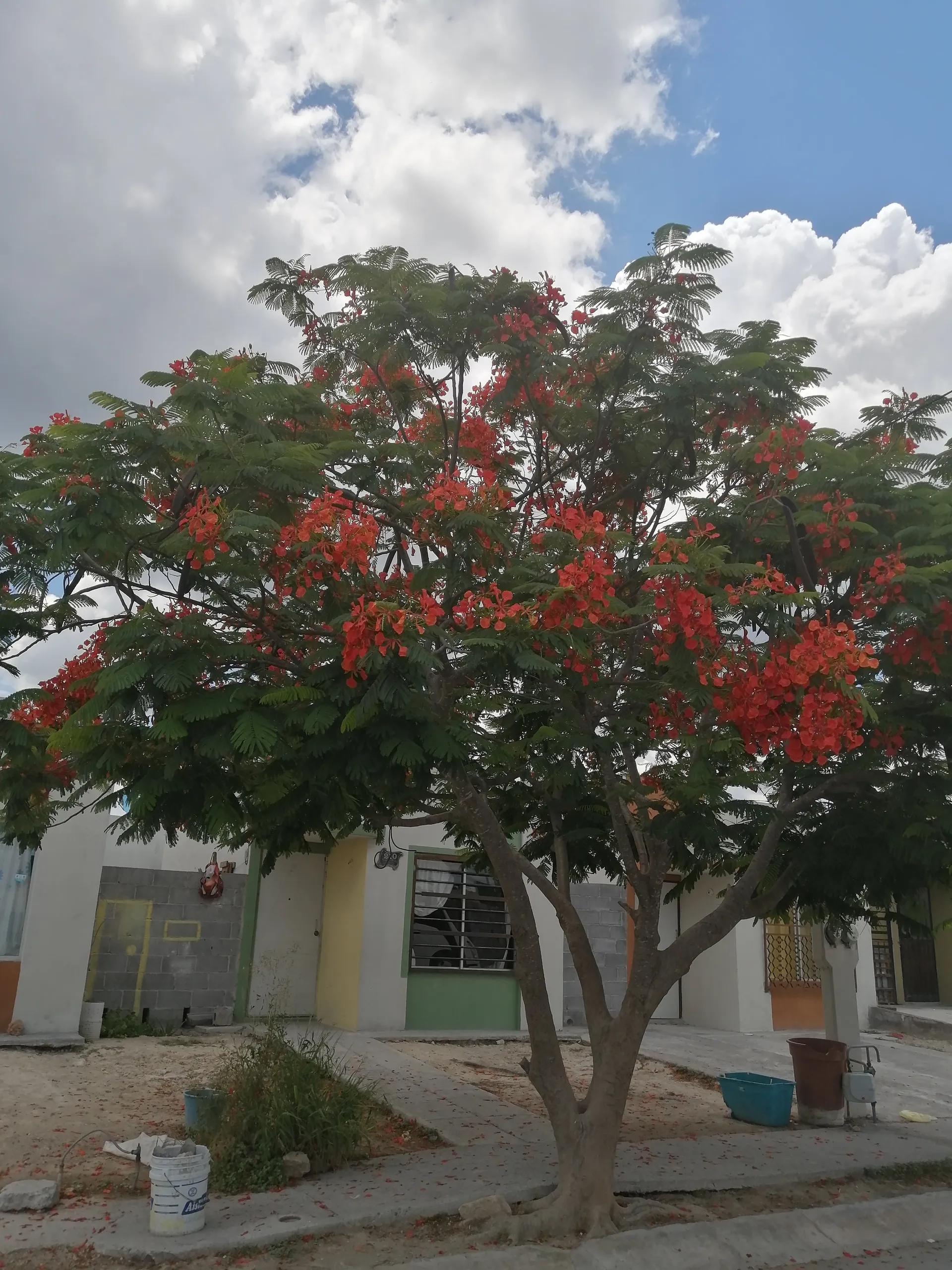 Axel Huriel López Santiago OnlyFans header