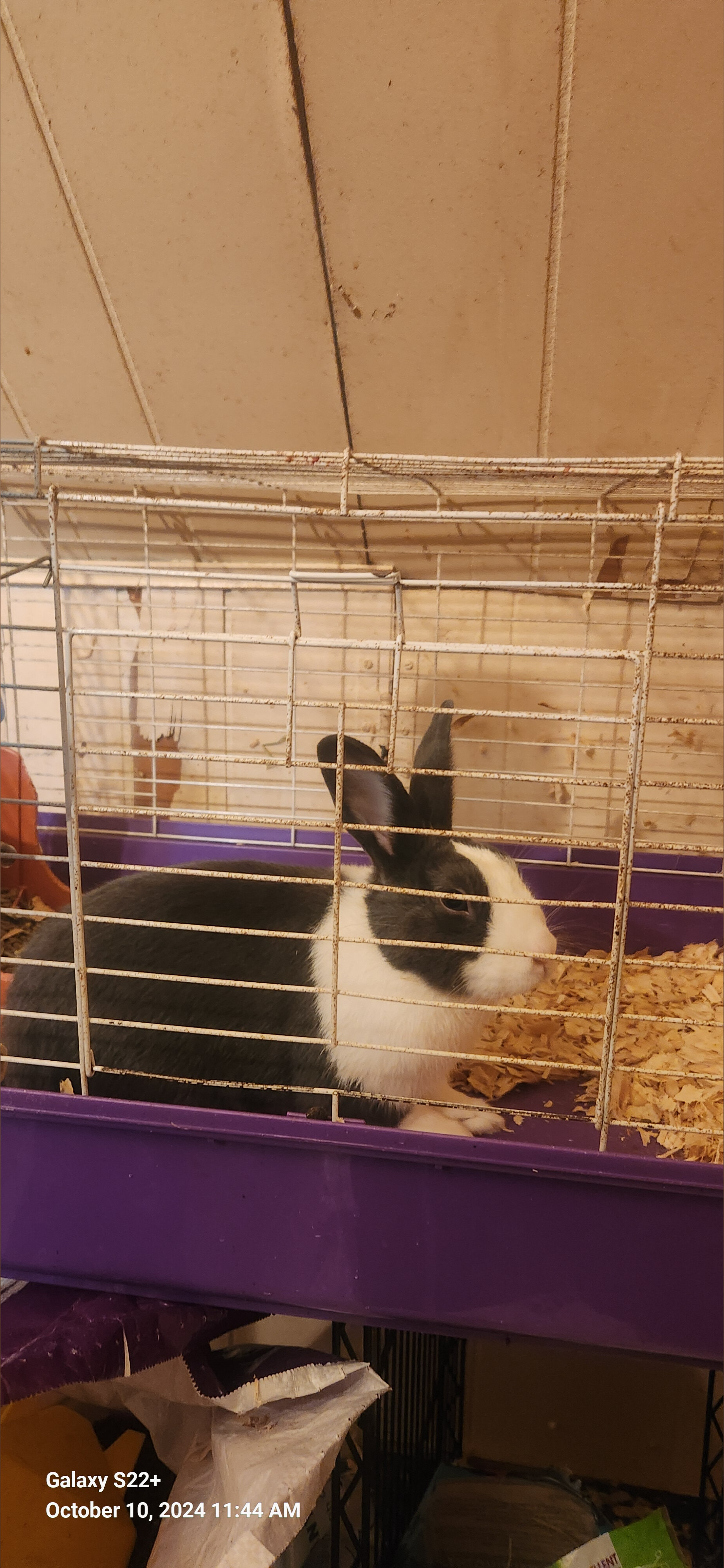 Badaxel's BWC OnlyFans header