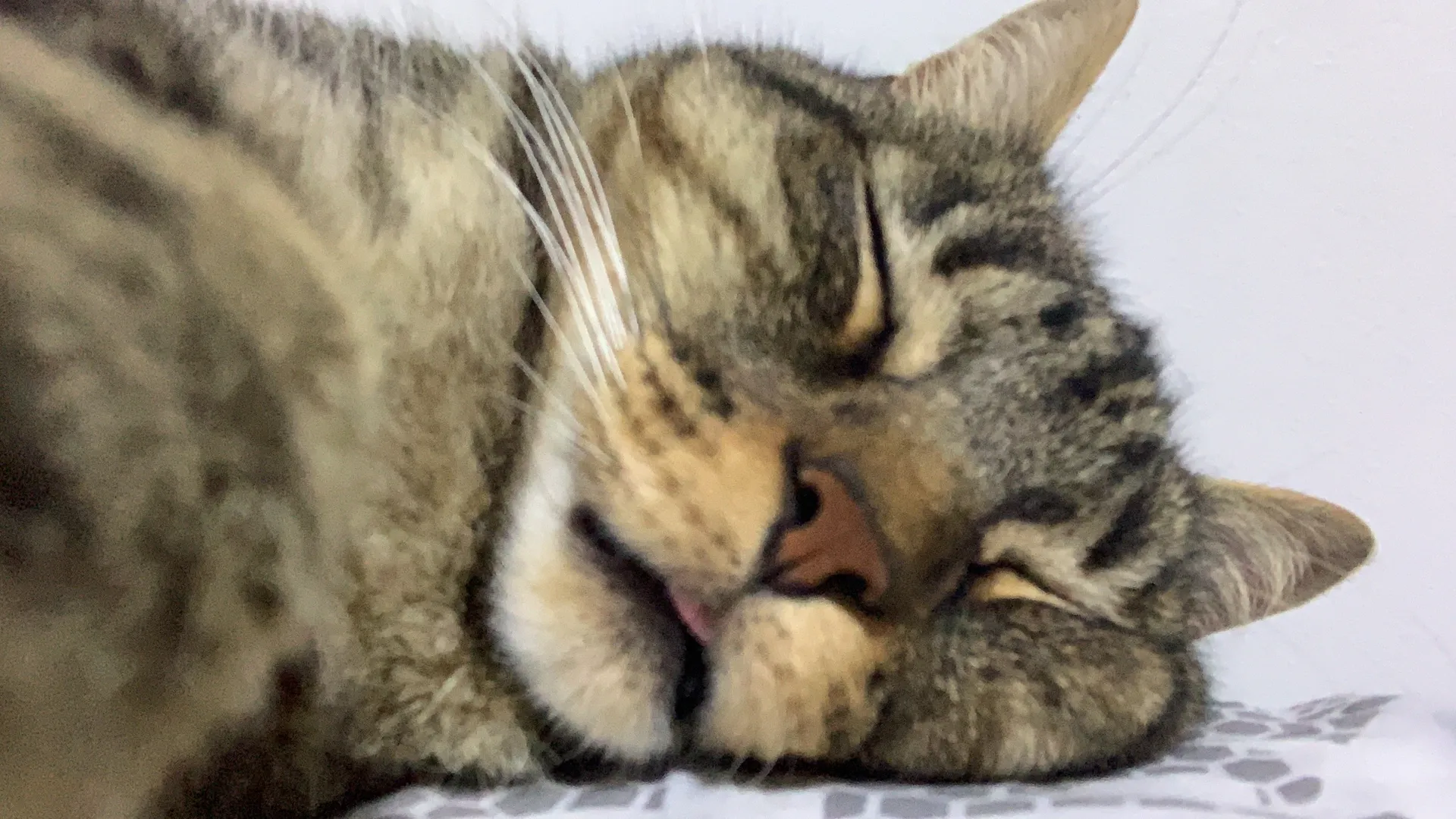 Axel_Valentino OnlyFans header