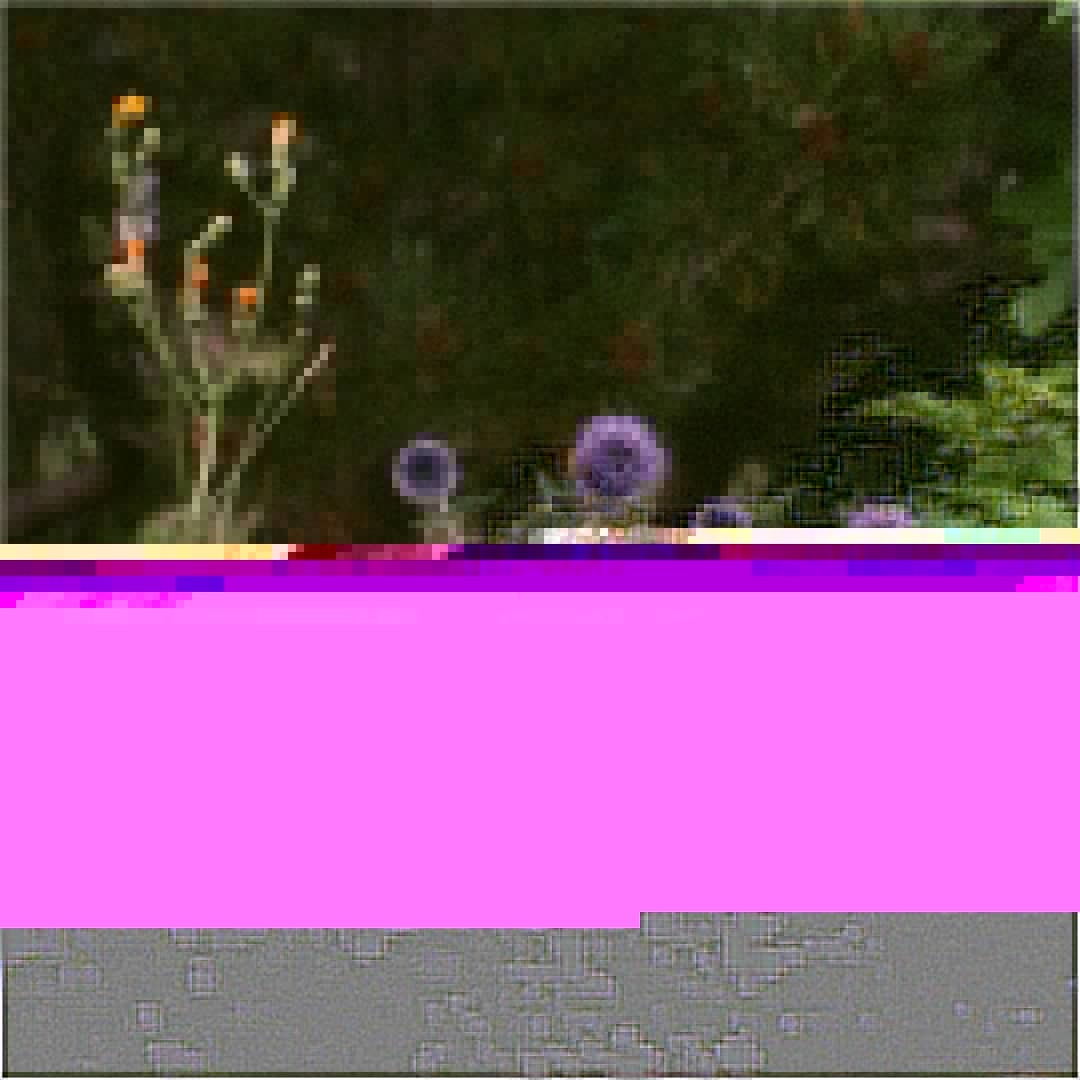 axe 💞 OnlyFans header