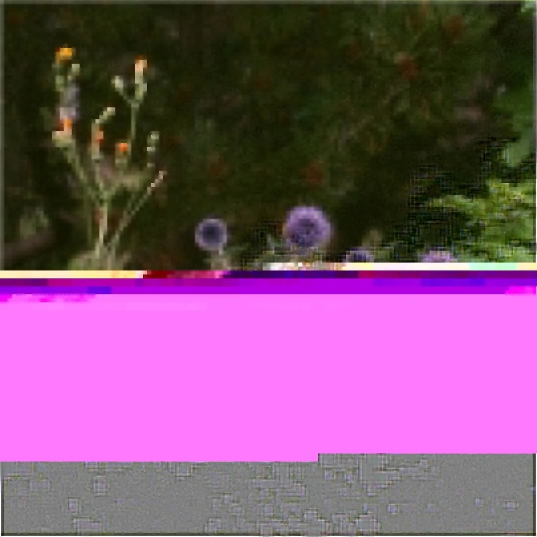 axe 💞 OnlyFans header