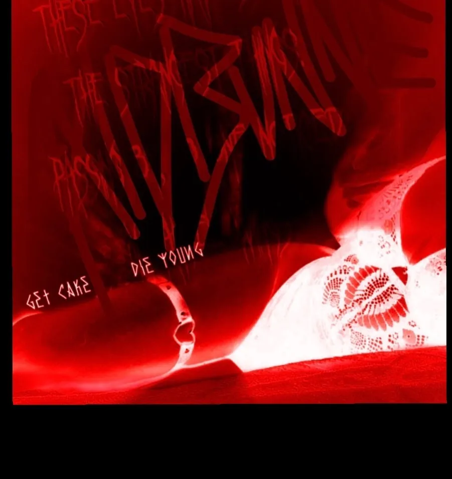 вυηηιє cover
