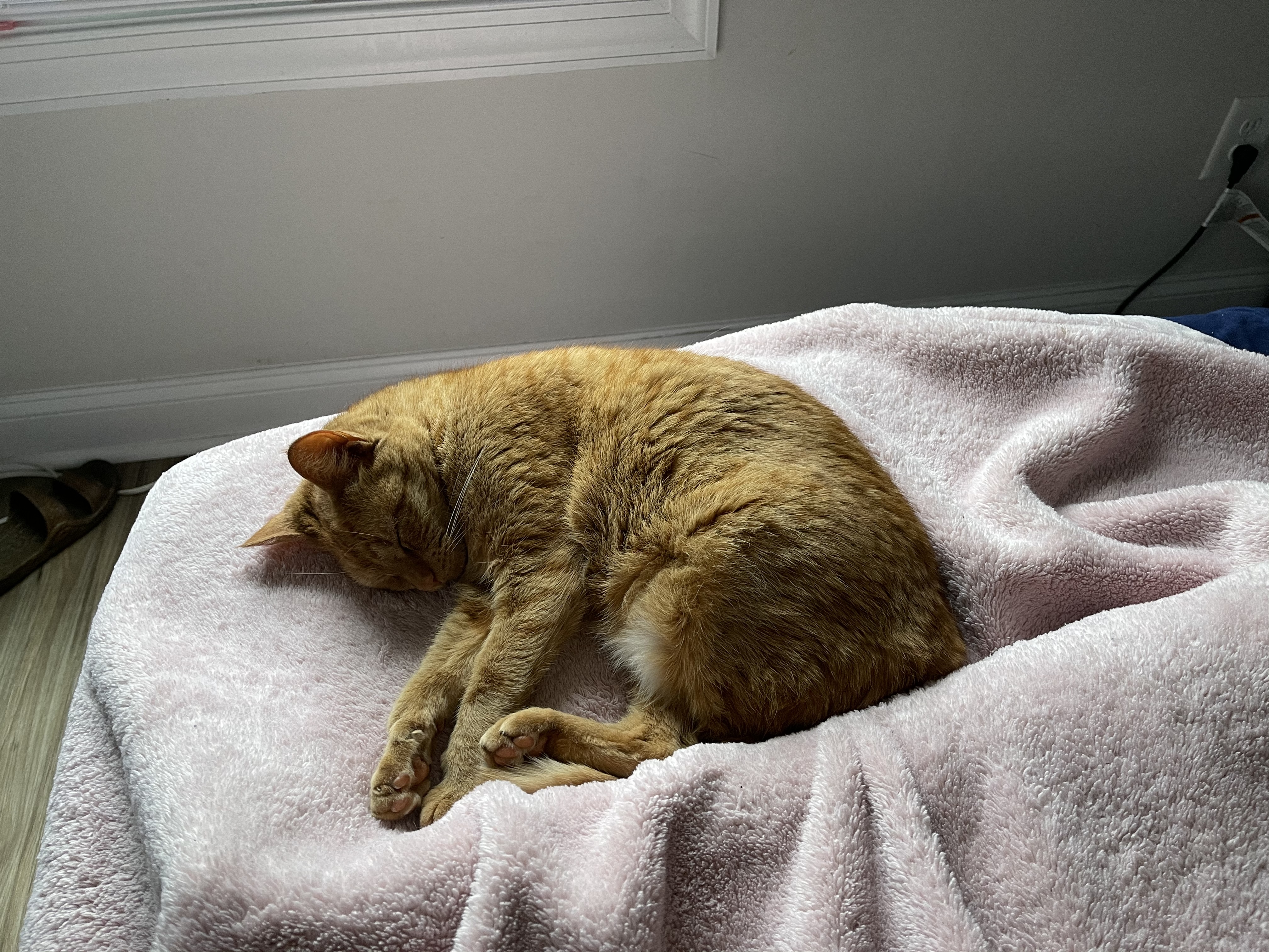 Axxixx OnlyFans header