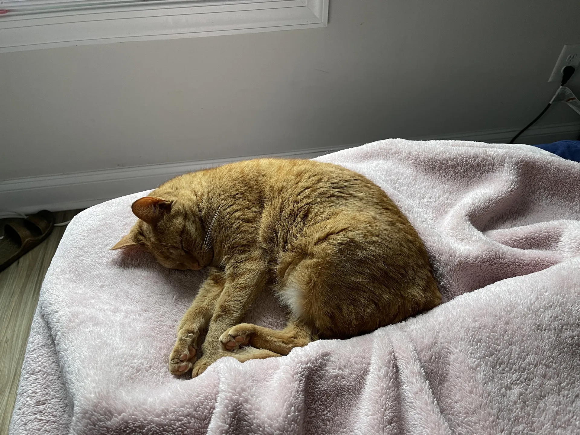 Axxixx OnlyFans header