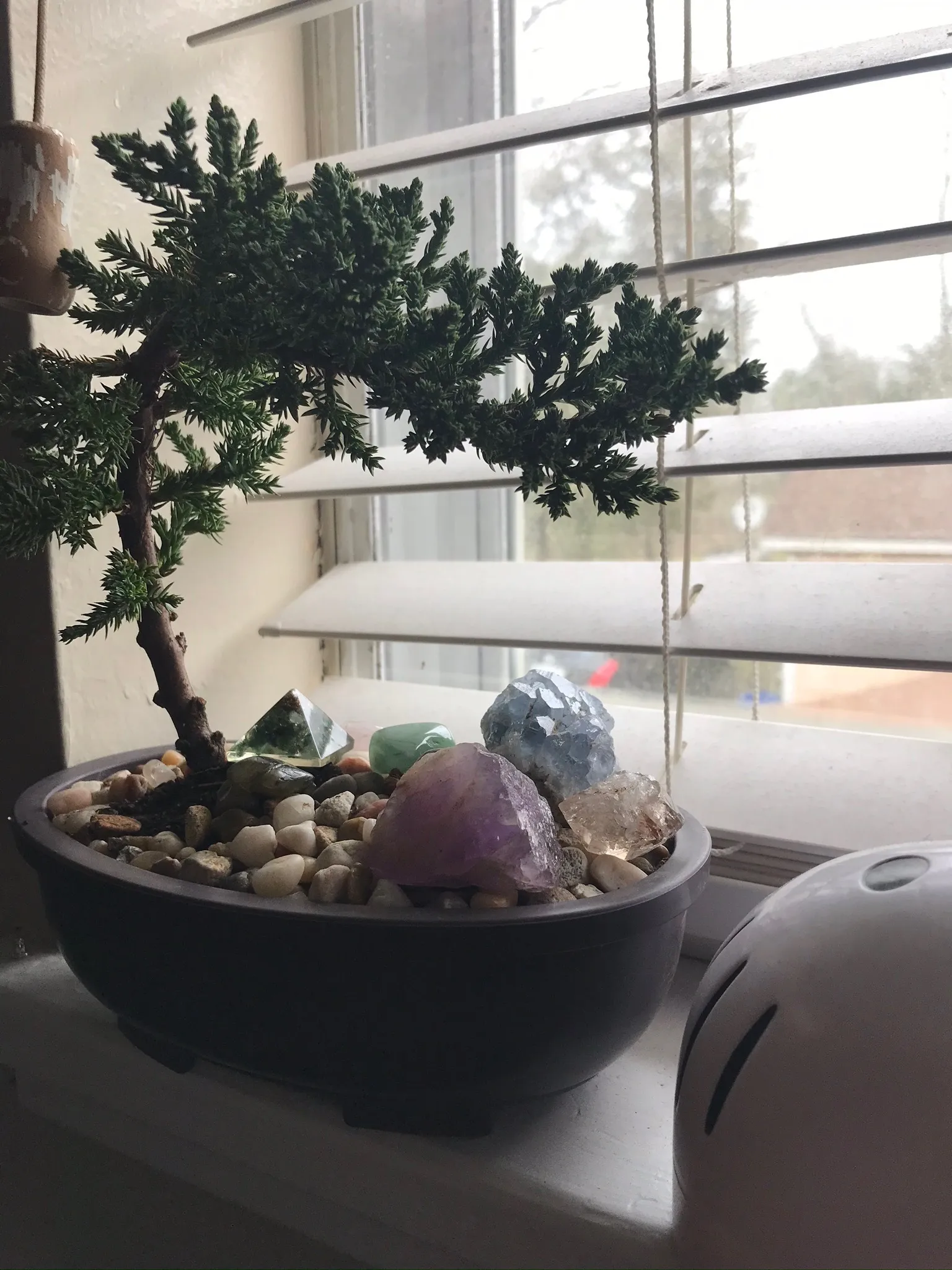 AyaLee OnlyFans header