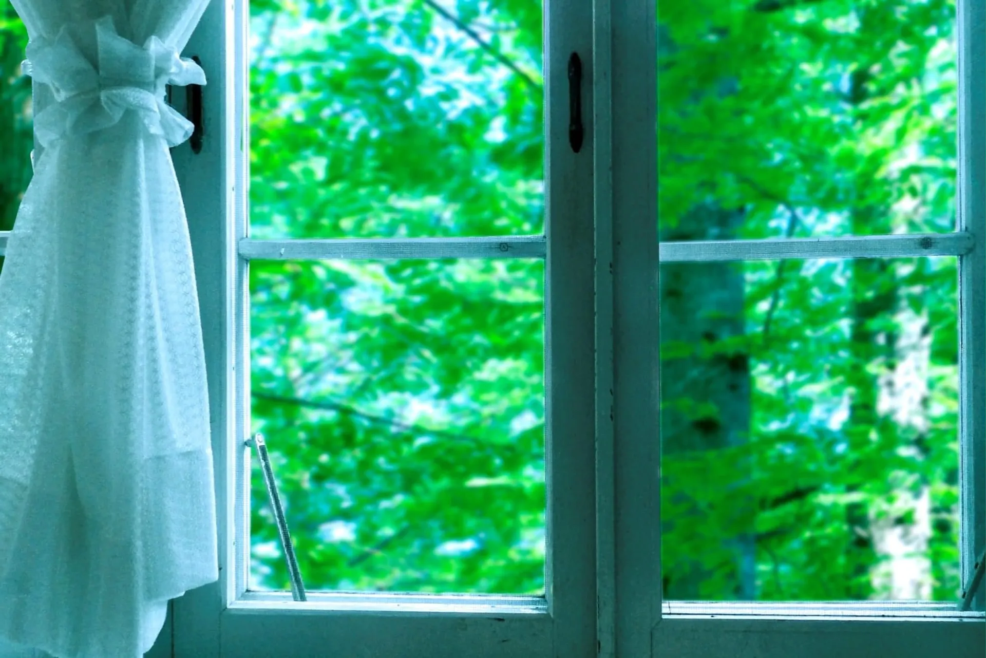 AyamiHinata OnlyFans header