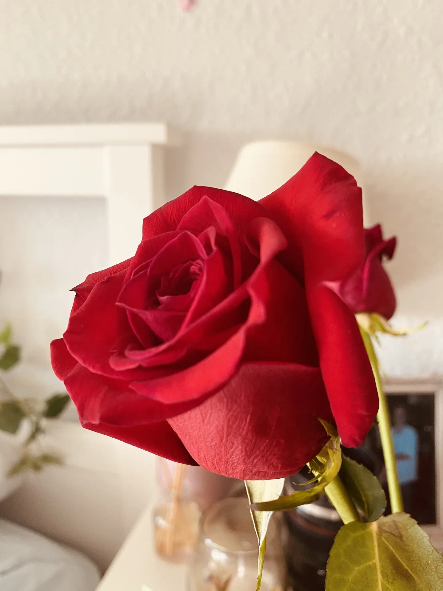 AyaMoon OnlyFans header