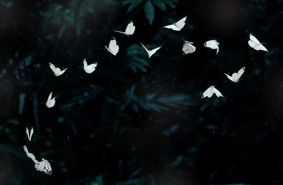 Ayane OnlyFans header