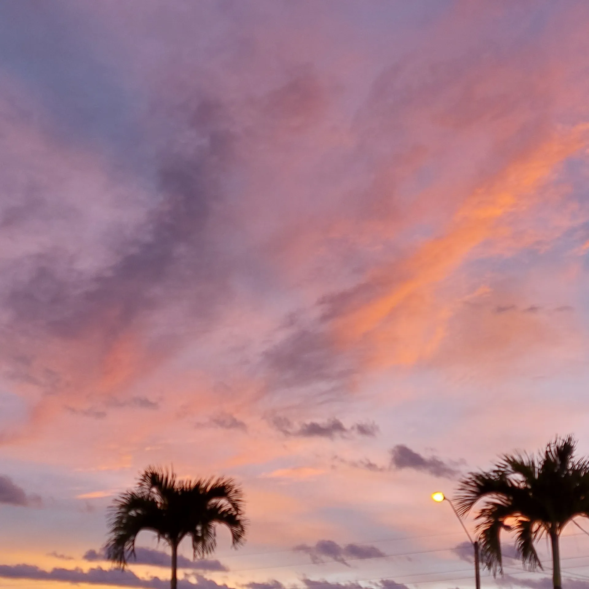 Ayan OnlyFans header