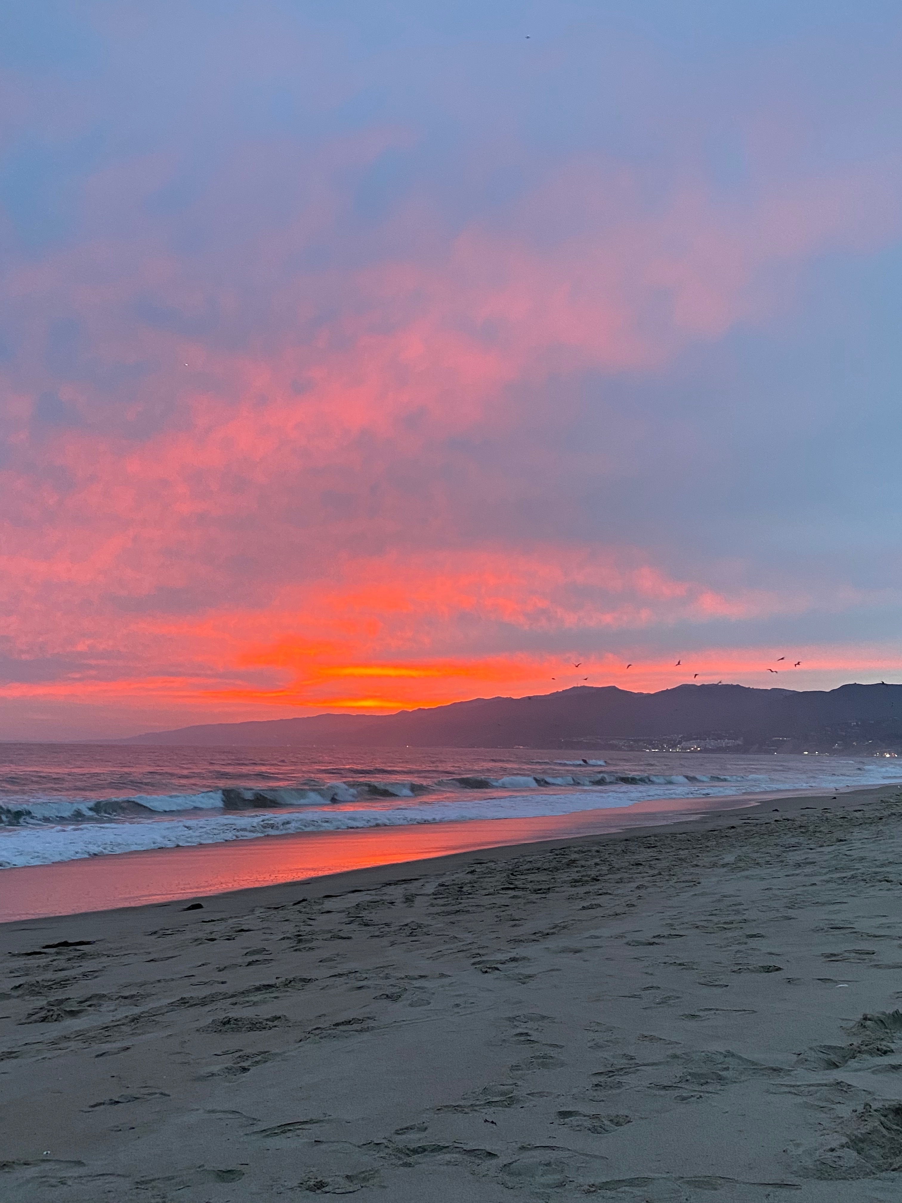 Danii OnlyFans header