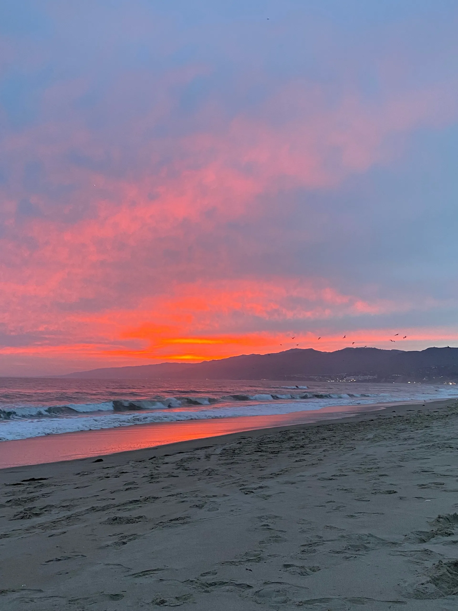 Danii OnlyFans header