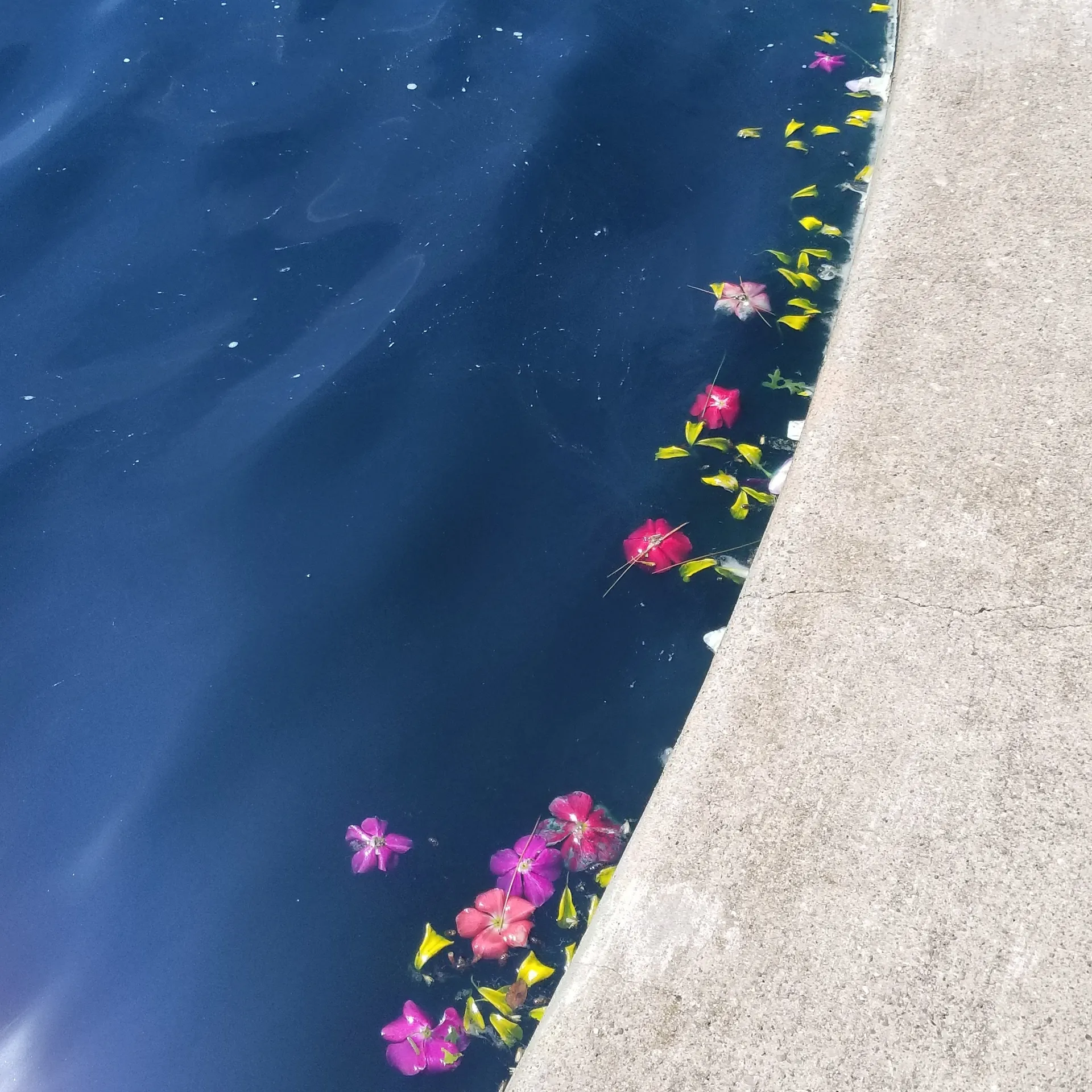 Ayla OnlyFans header