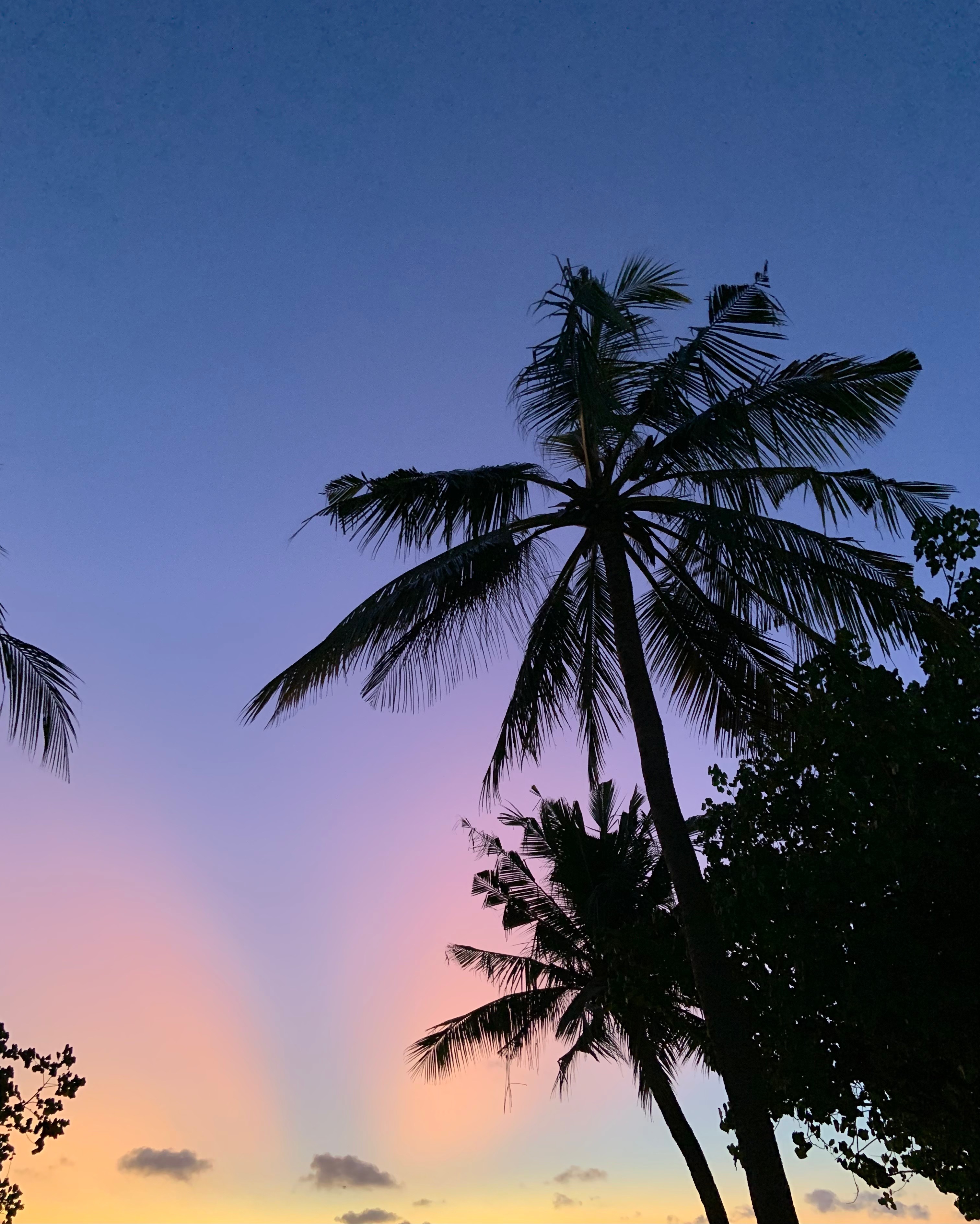 Aylah OnlyFans header