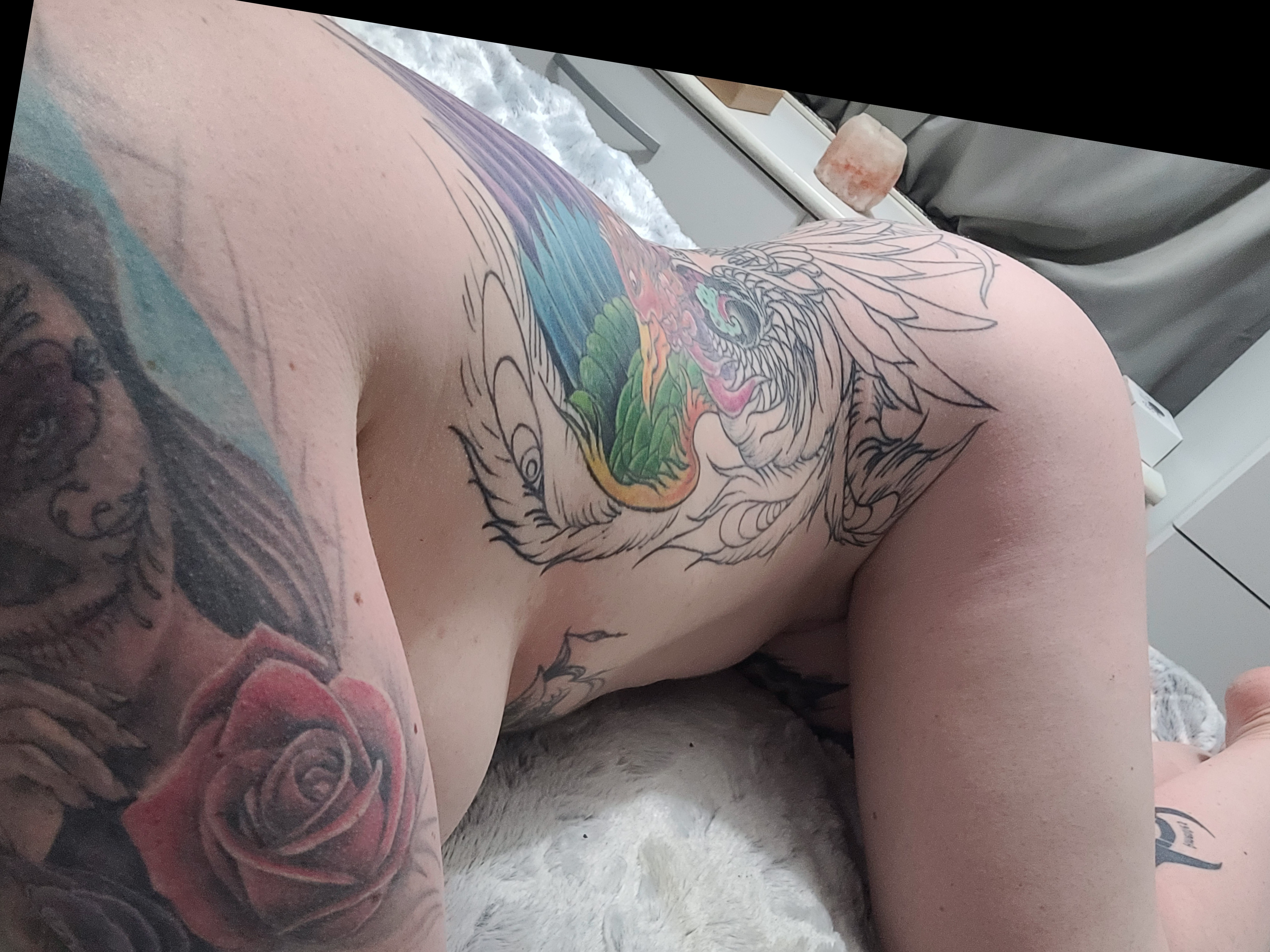 AylaMay OnlyFans header
