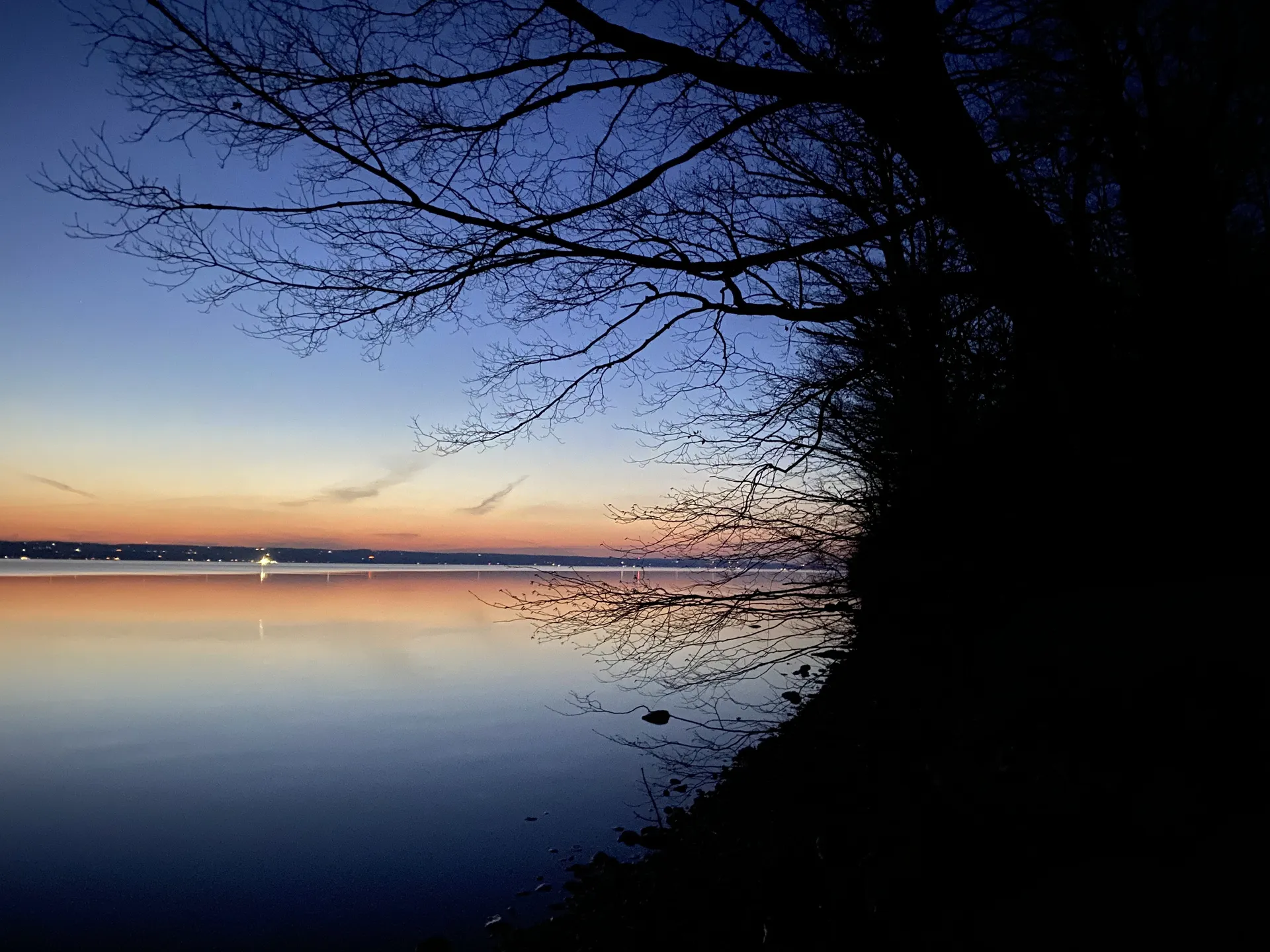 Lizzy OnlyFans header