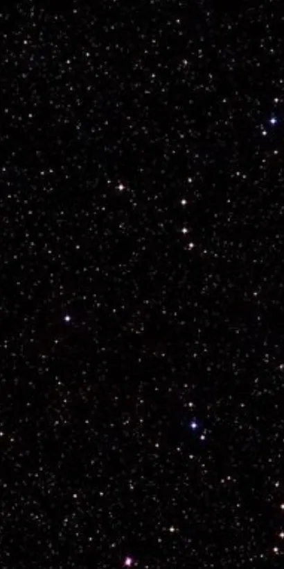 Aylee OnlyFans header