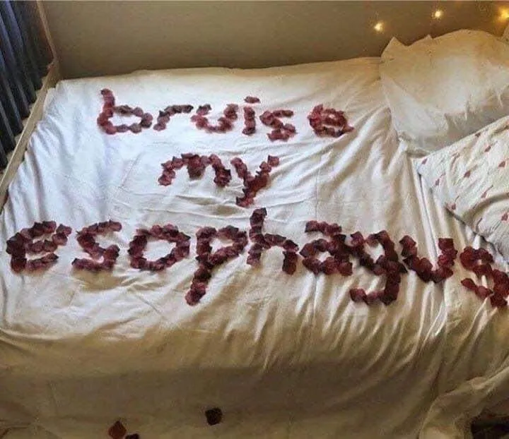 Andee OnlyFans header