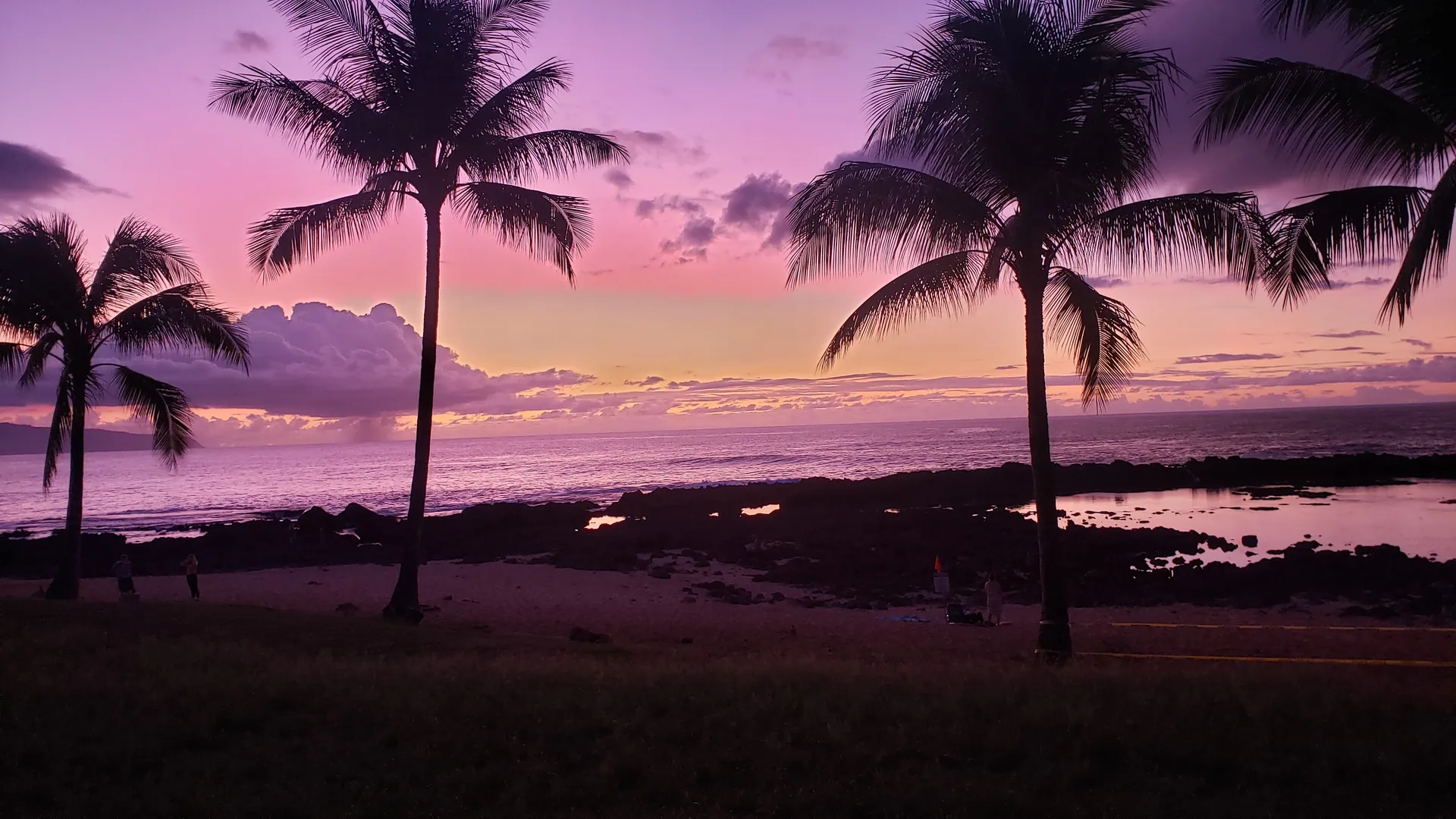 $hizzy OnlyFans header