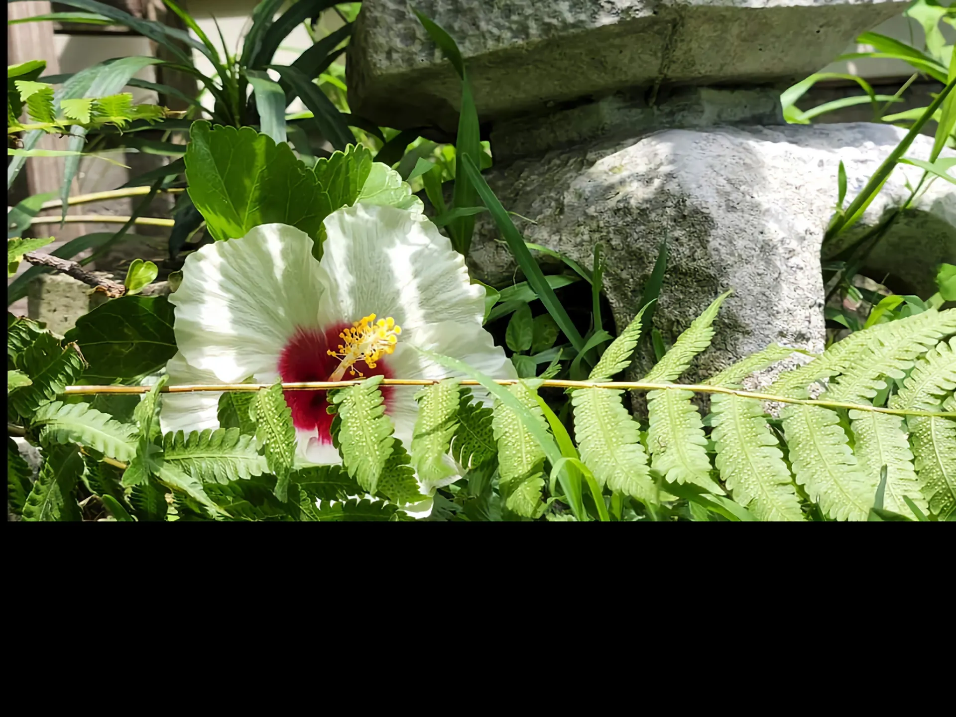 Teddy papps OnlyFans header