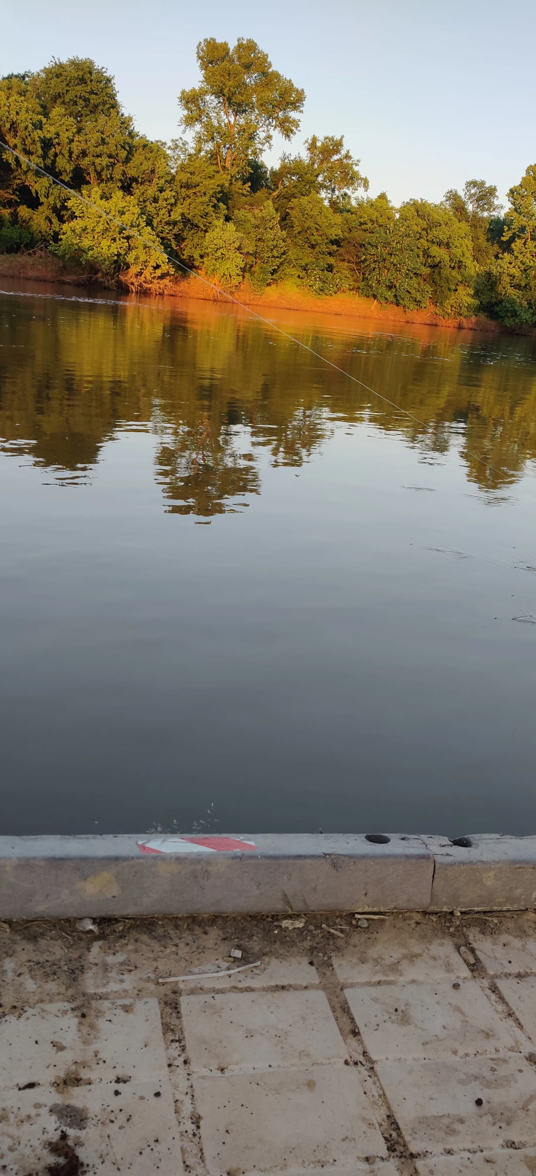 Aziz OnlyFans header