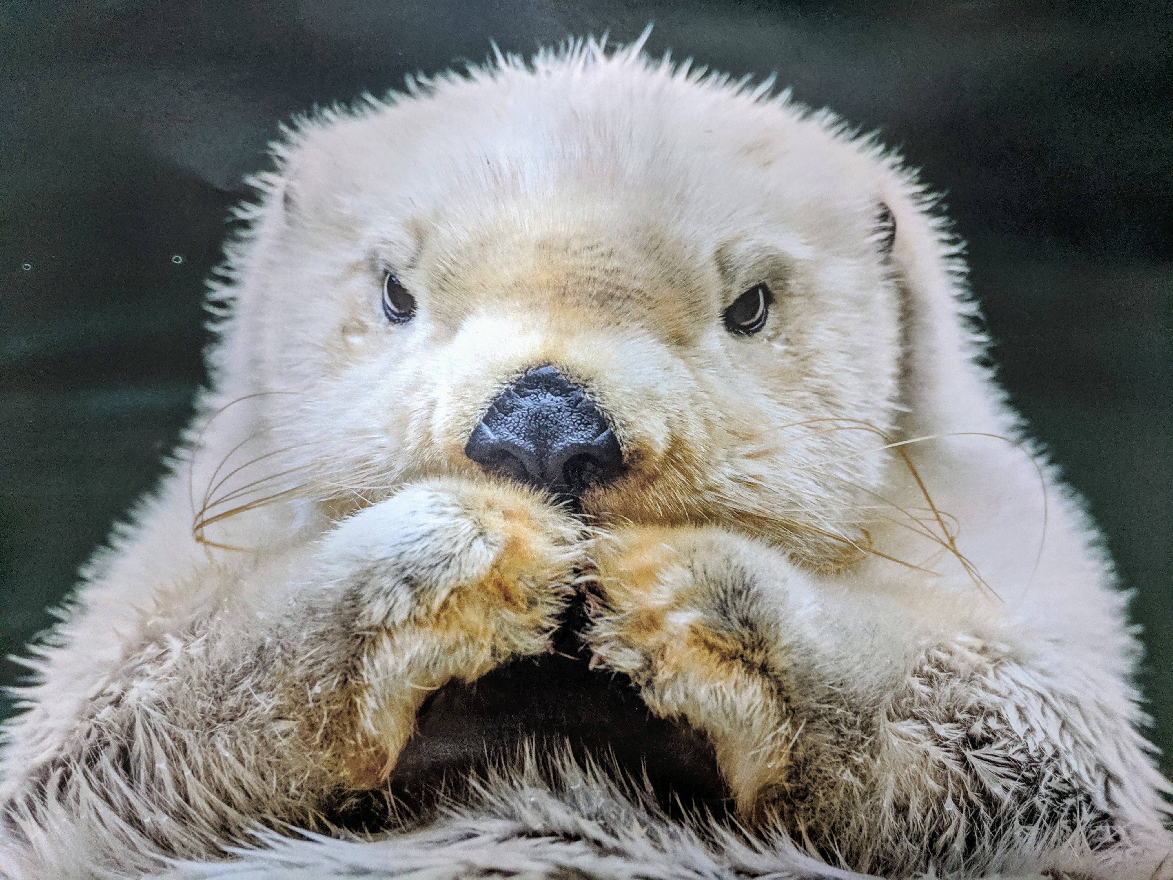 Bombtastic OnlyFans header