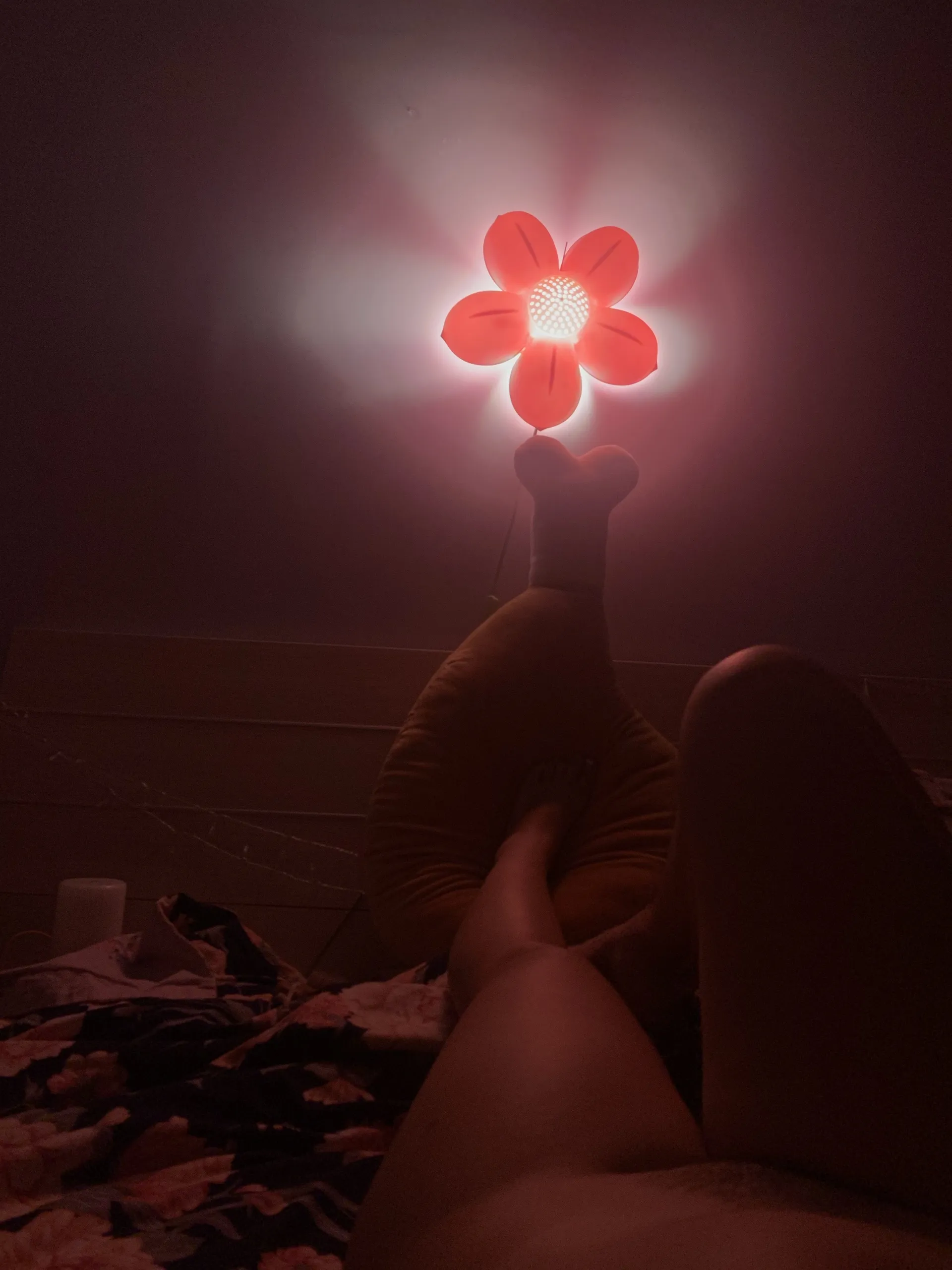 msbbycakes🍑 OnlyFans header