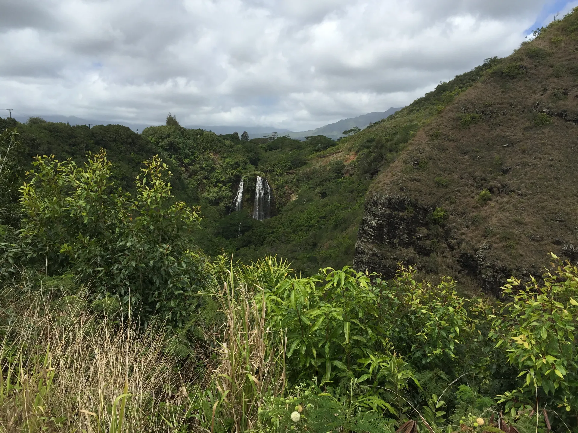 AznHayn OnlyFans header