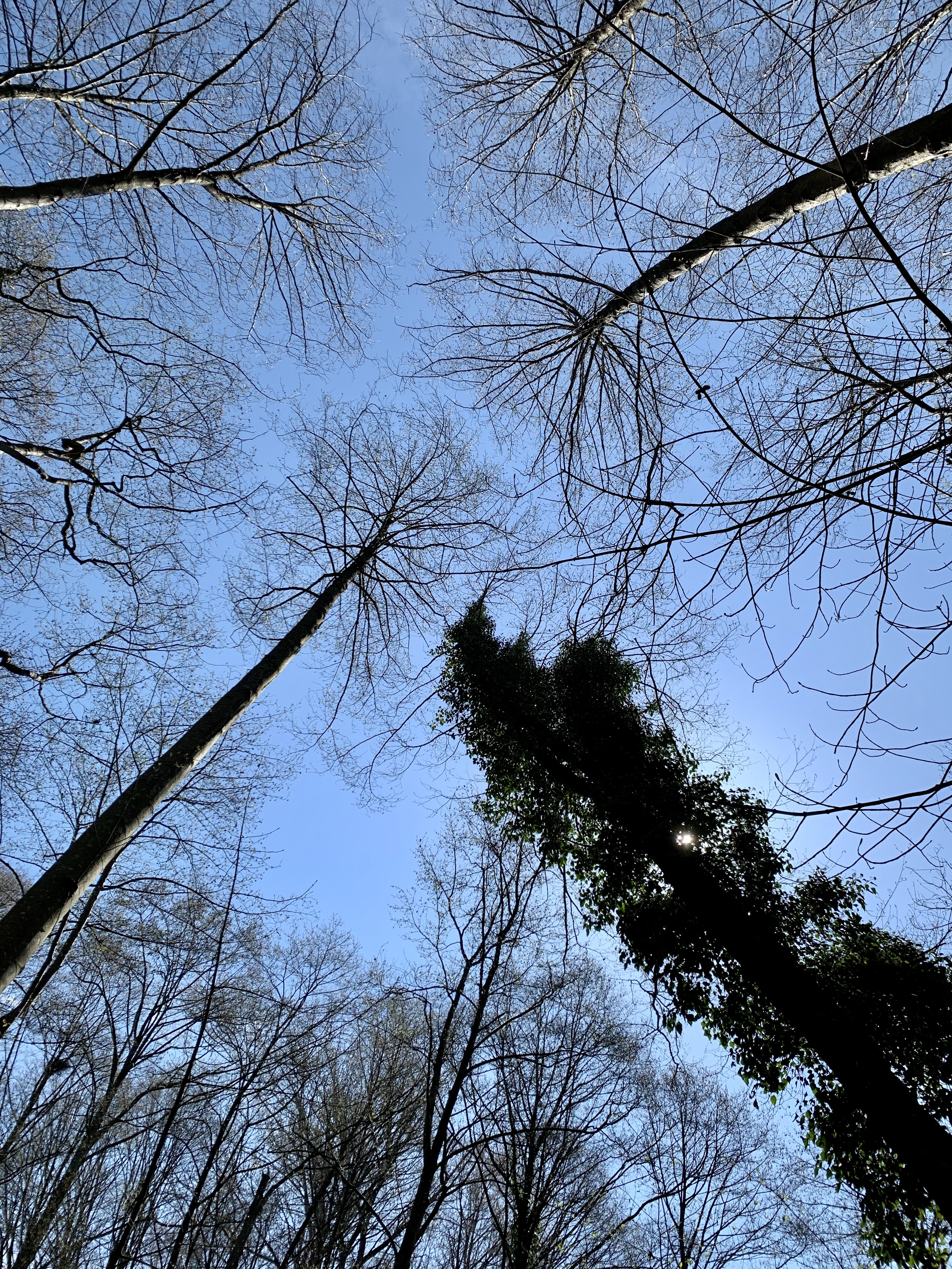 AsianSuperhero OnlyFans header