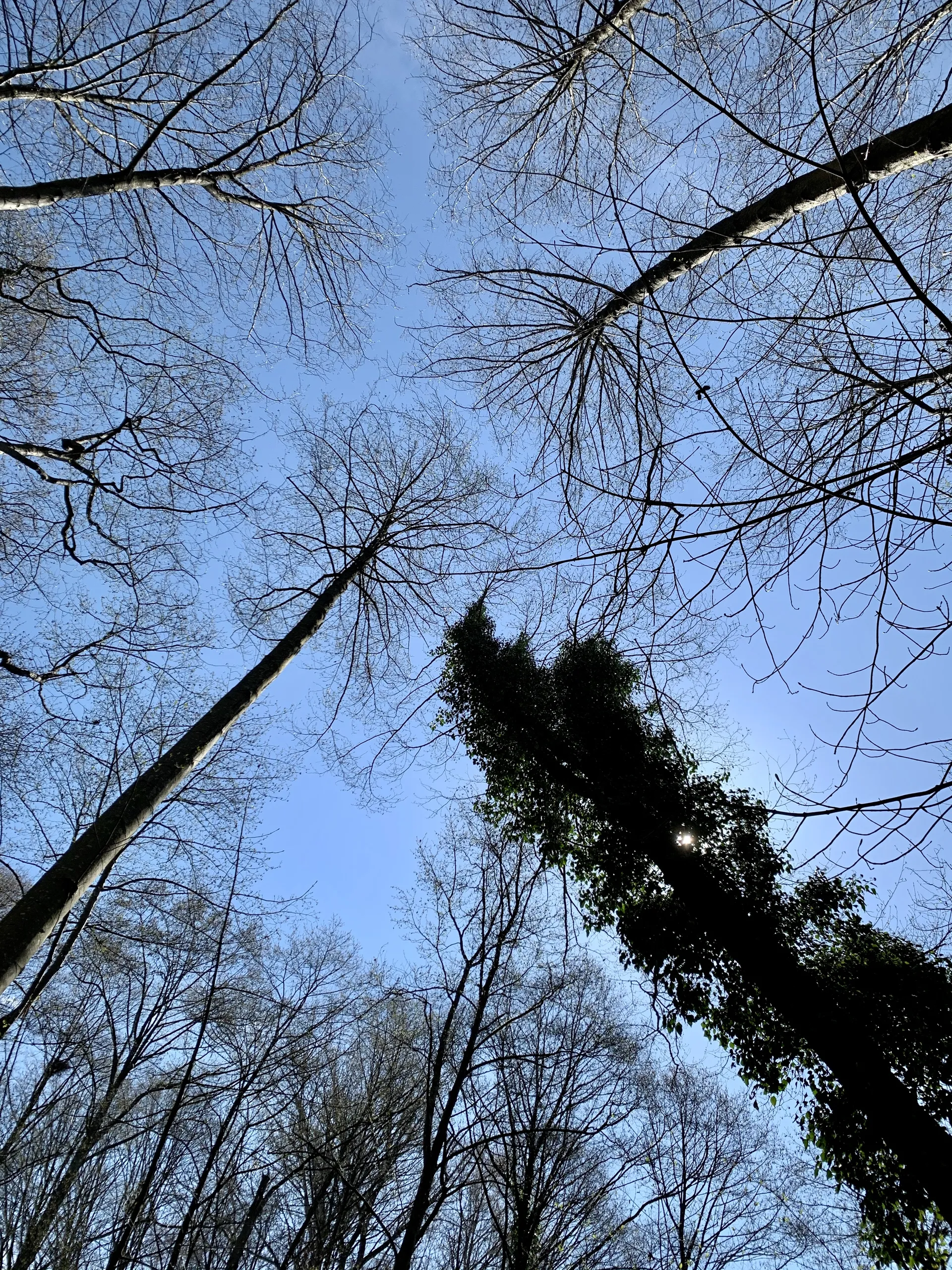 AsianSuperhero OnlyFans header