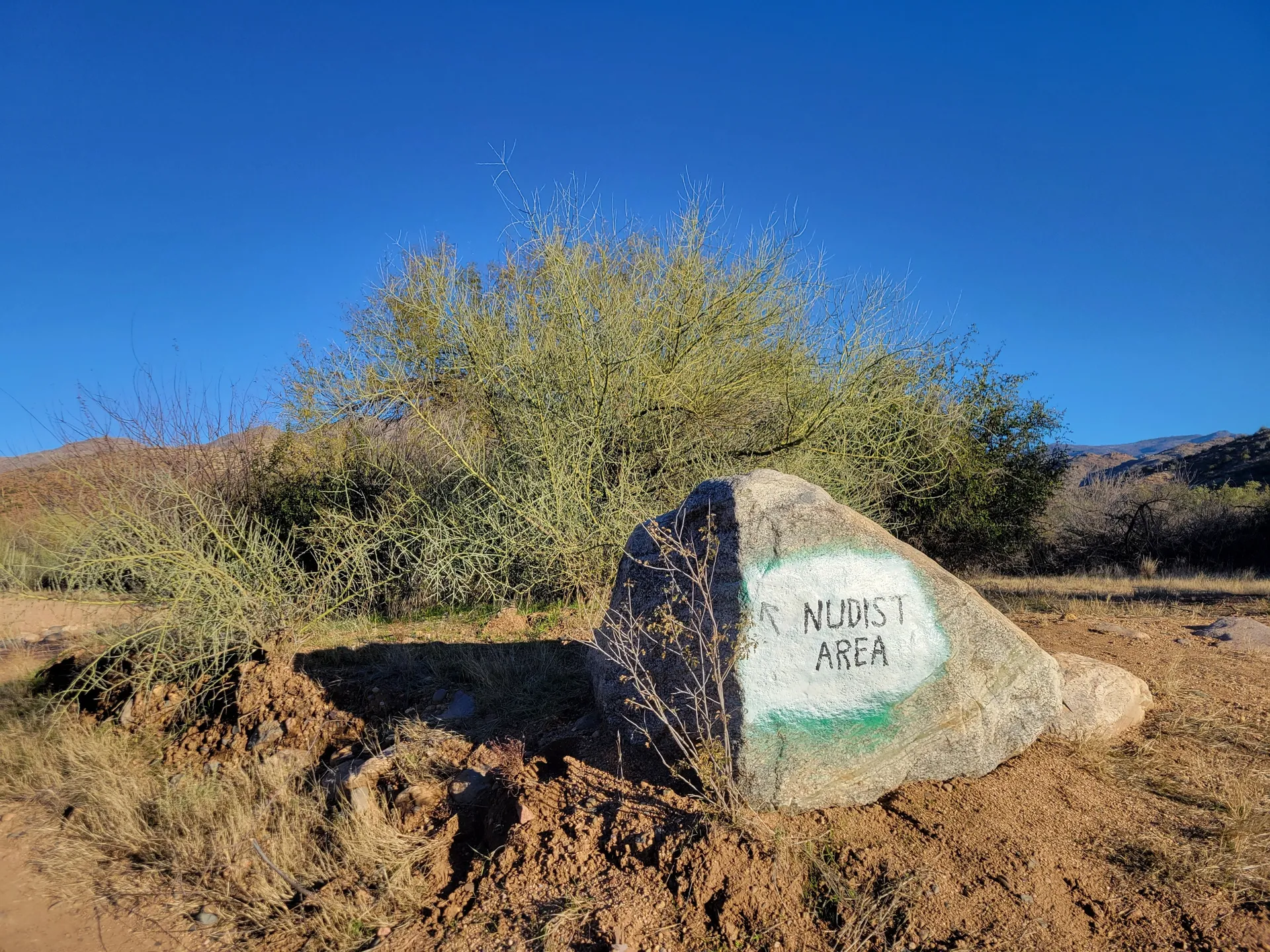 AZ Nude Dude OnlyFans header