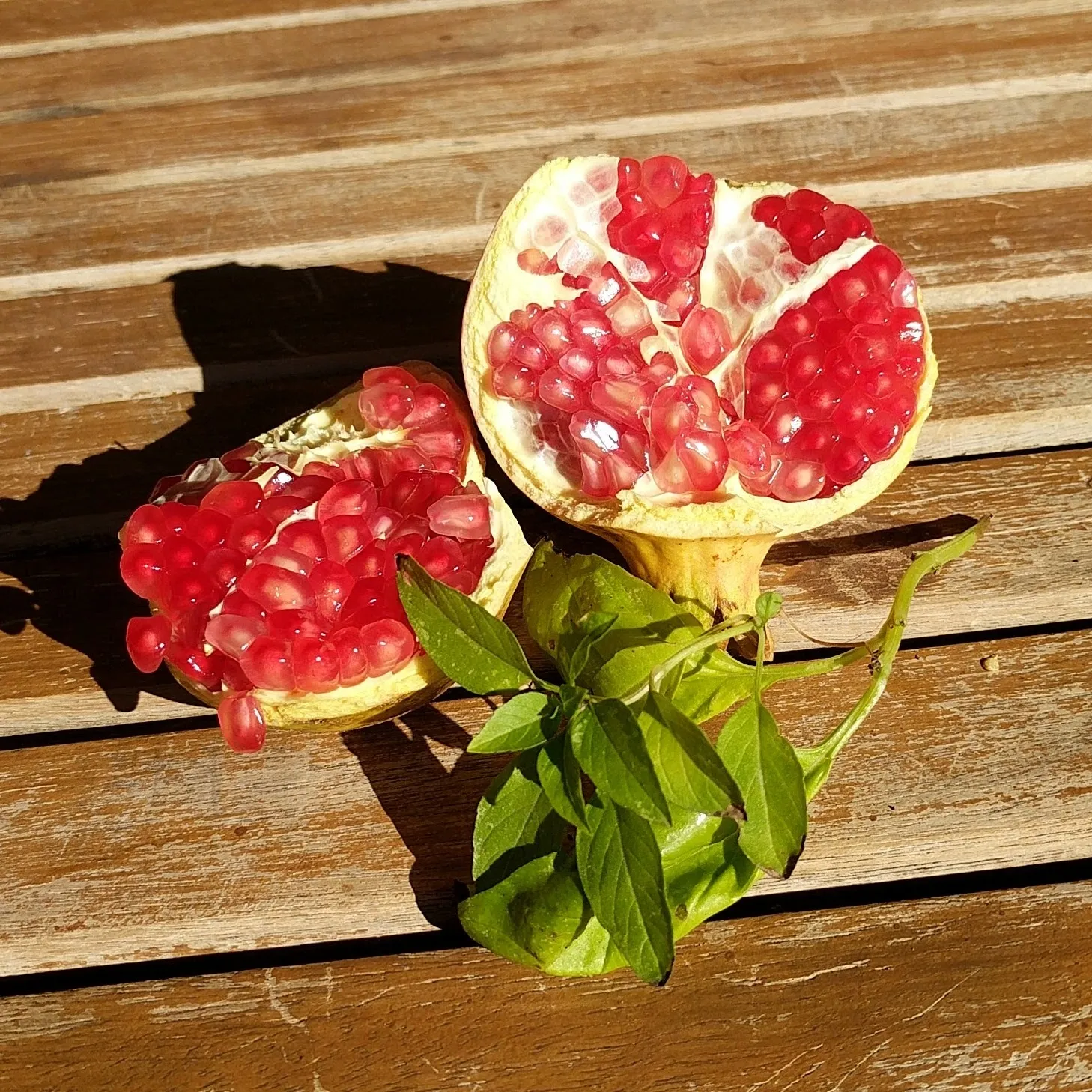 Azstarael OnlyFans header