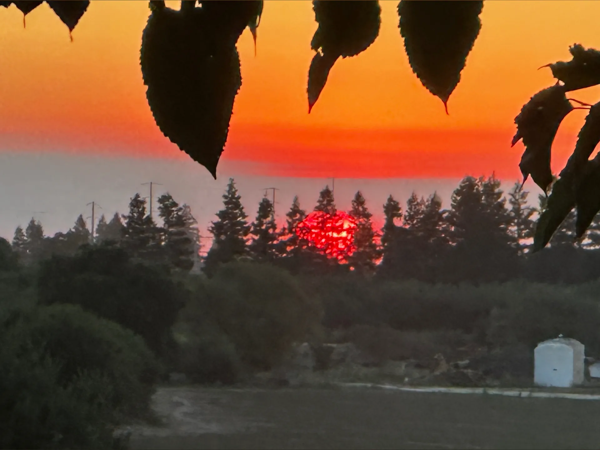 Aztec Knight OnlyFans header