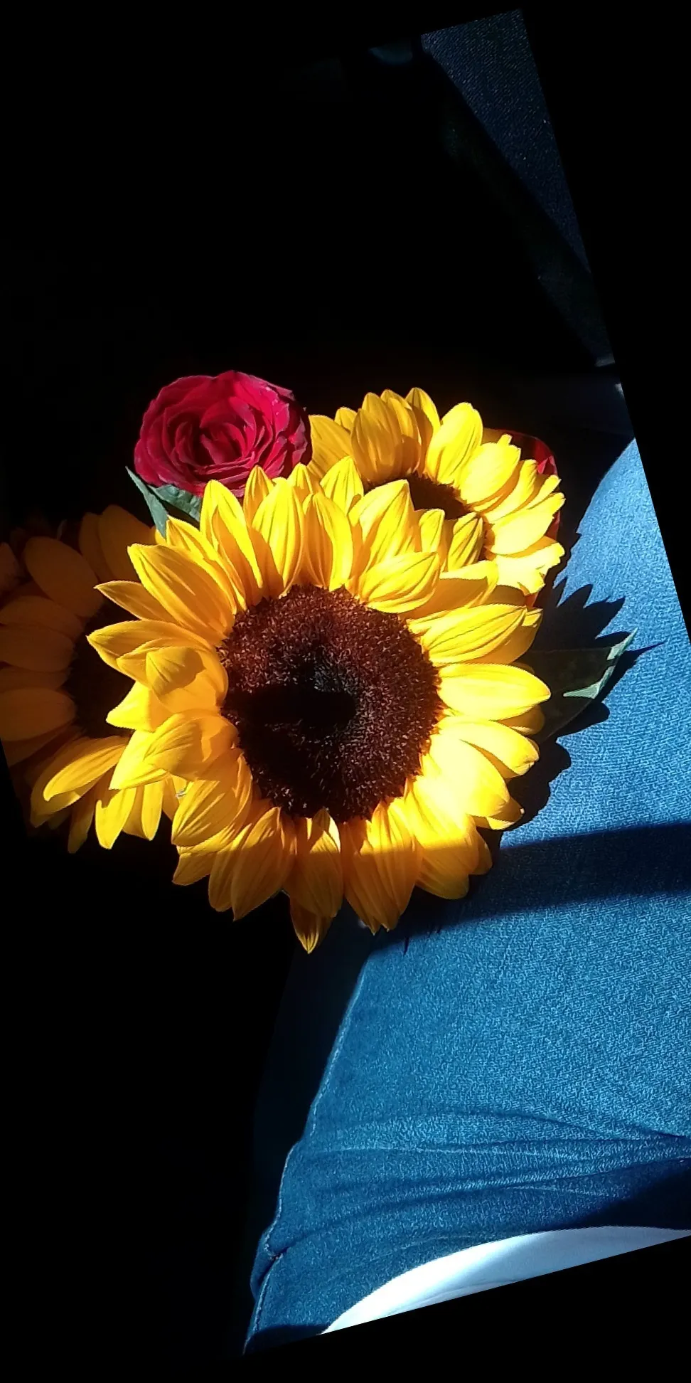 Aleira OnlyFans header