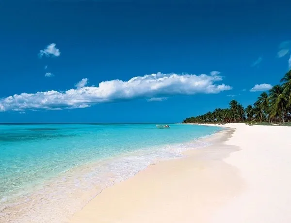 Azulina OnlyFans header